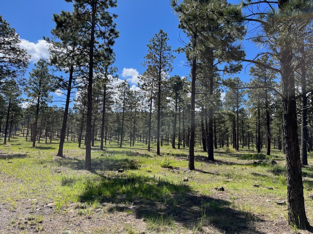 192 Llano de La Legua