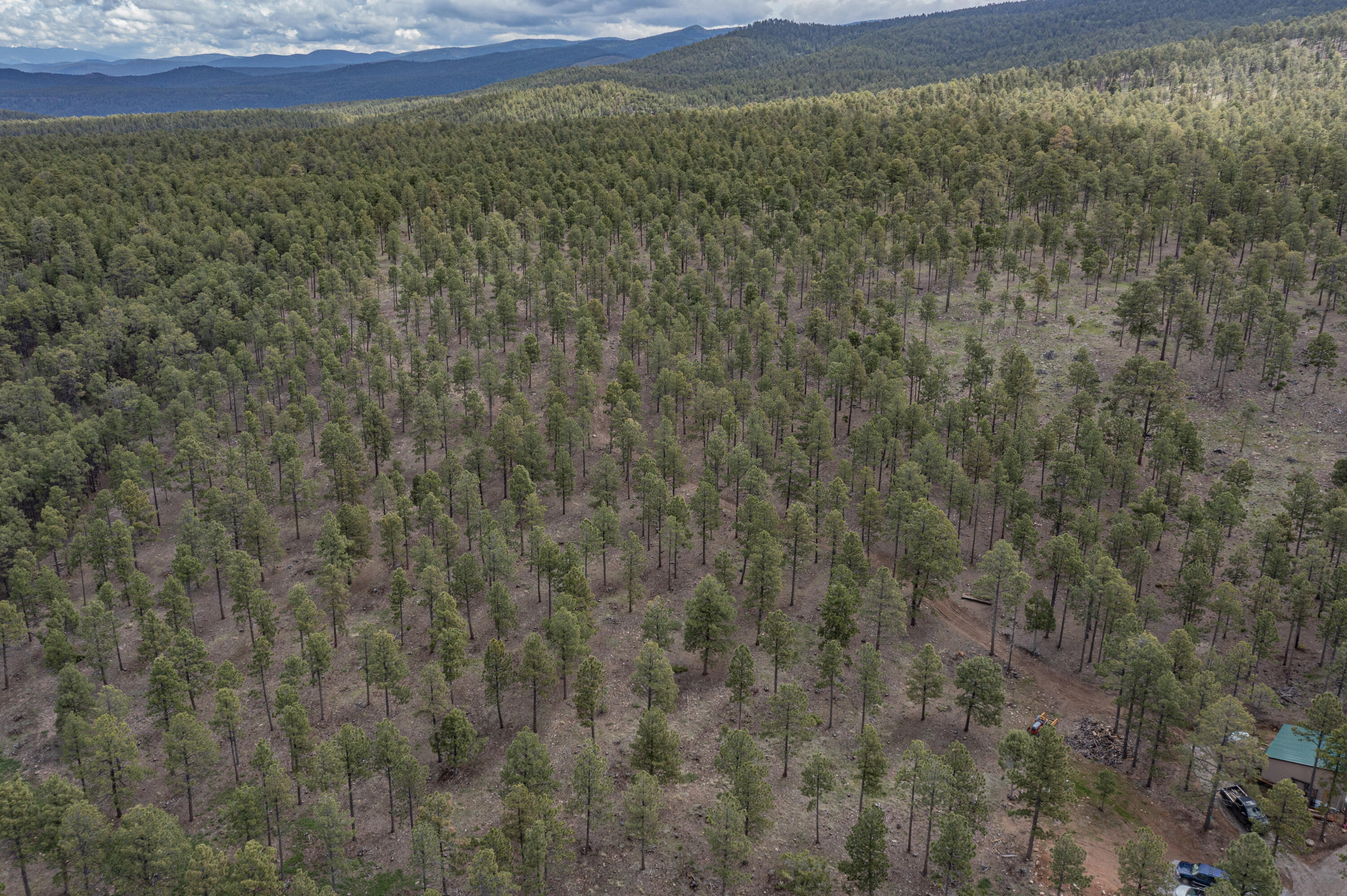 192 Llano de La Legua