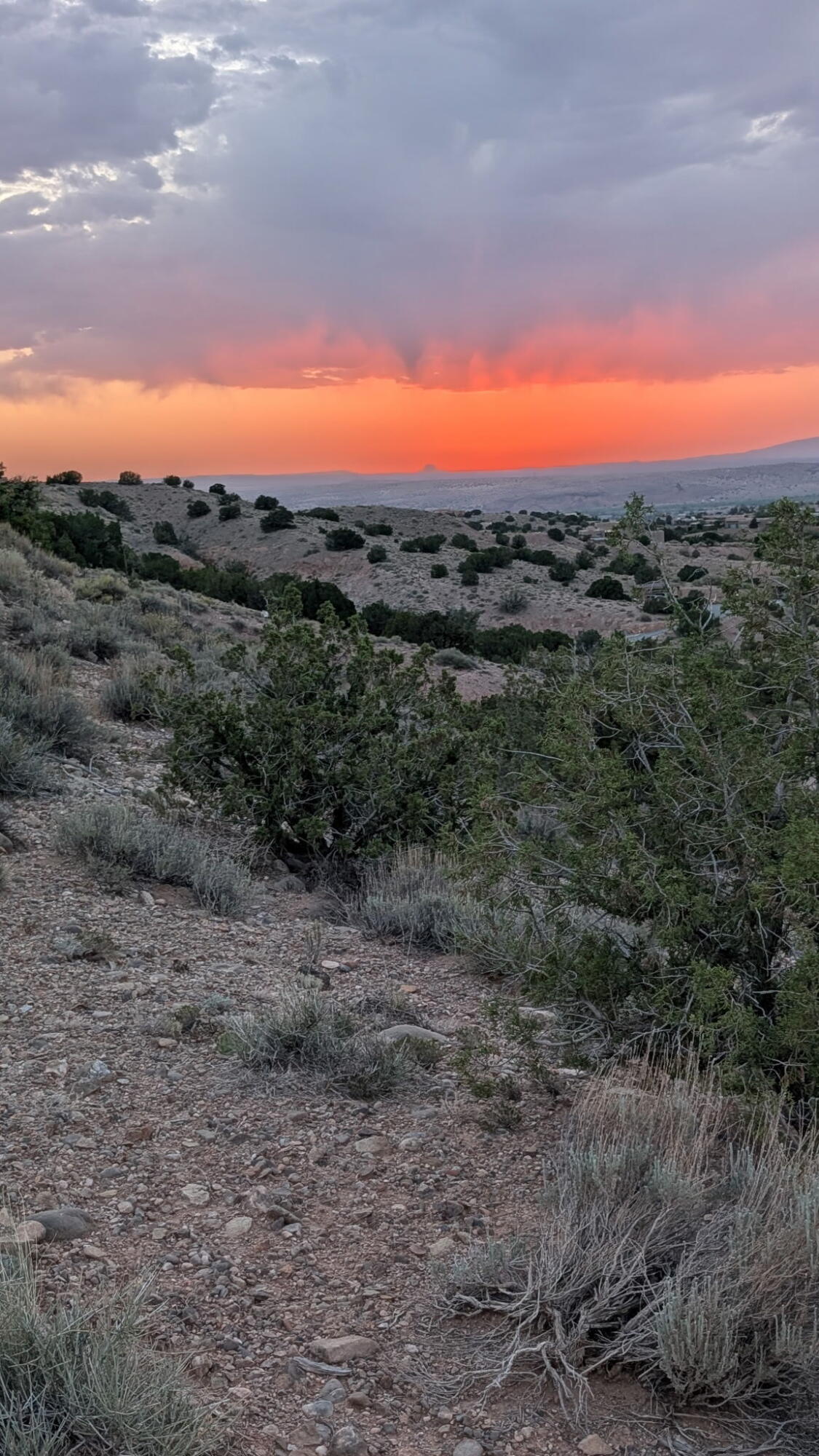 Lot 43, CIENEGA CANYON Road