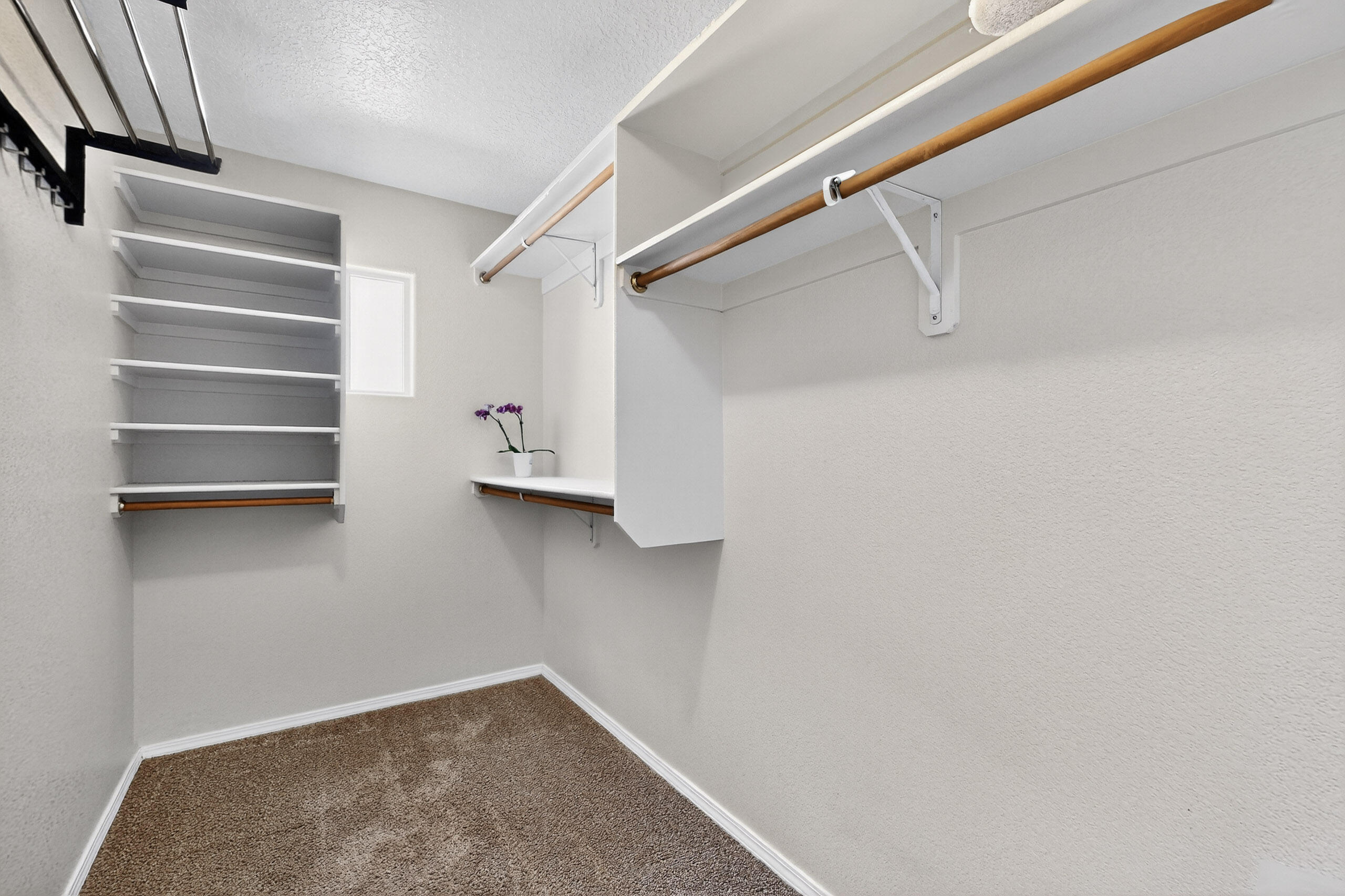 2353 CORTINA Loop SE