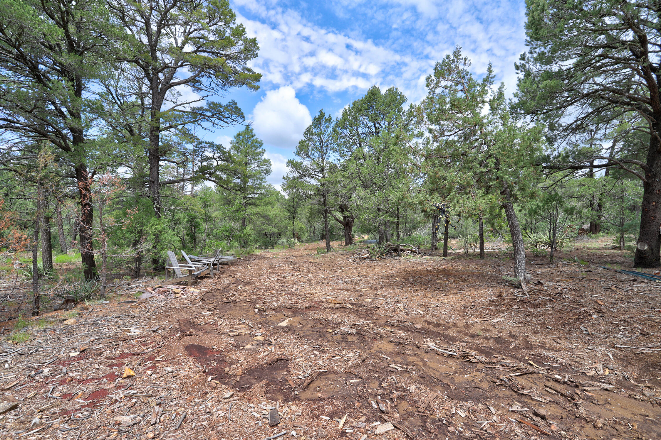 109 CAROLINO CANYON Road
