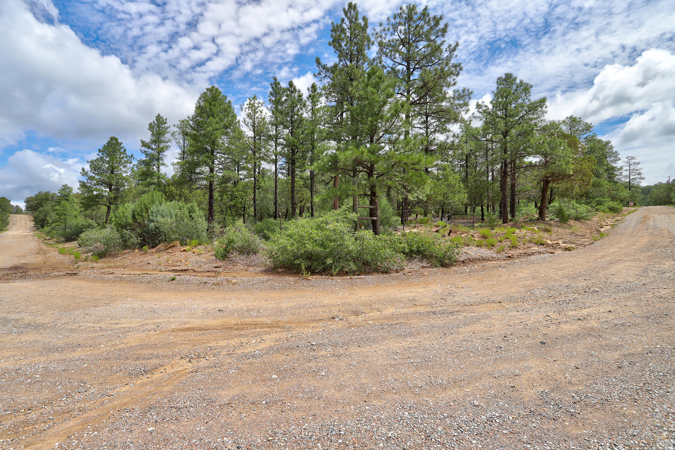 109 CAROLINO CANYON Road