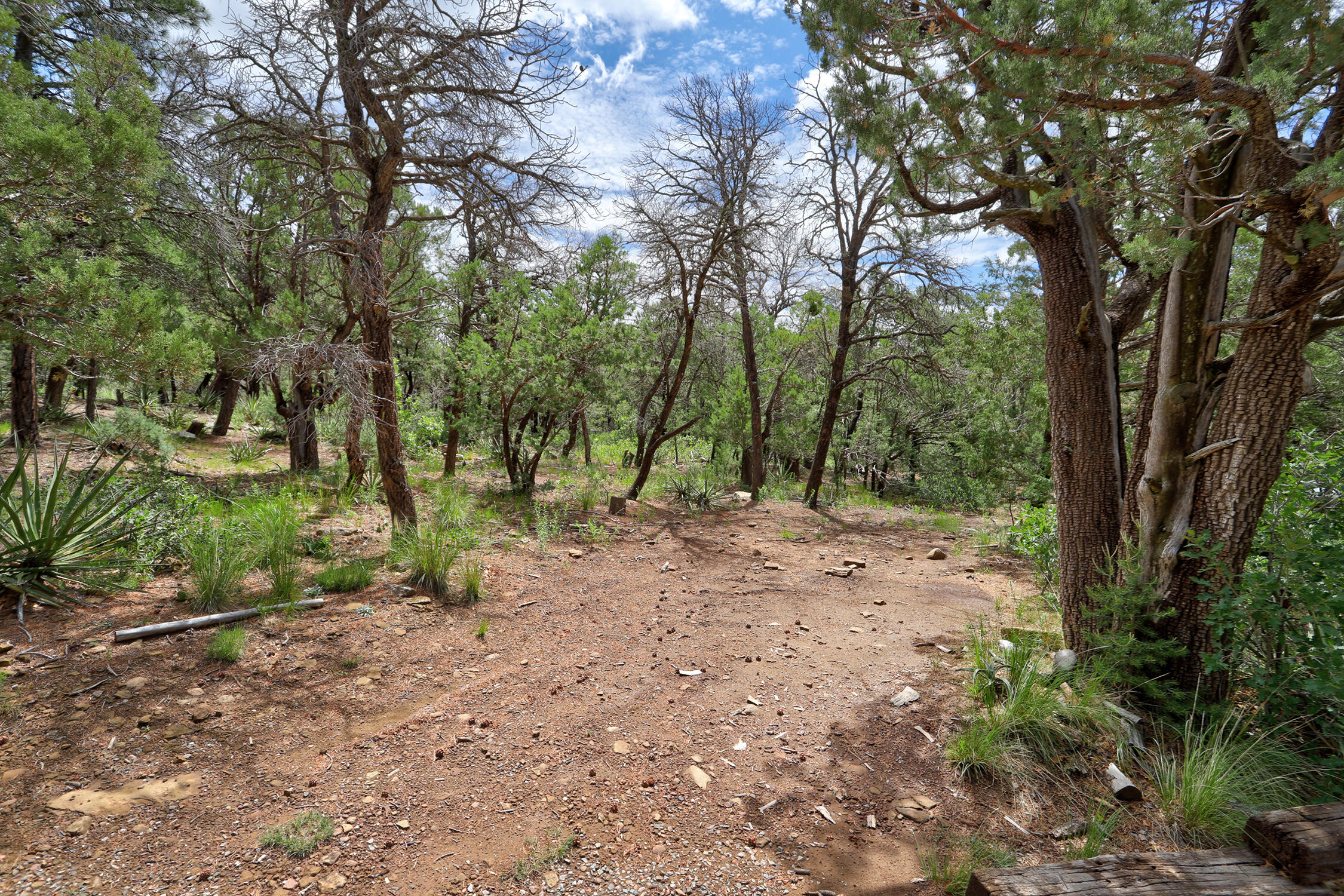 109 CAROLINO CANYON Road