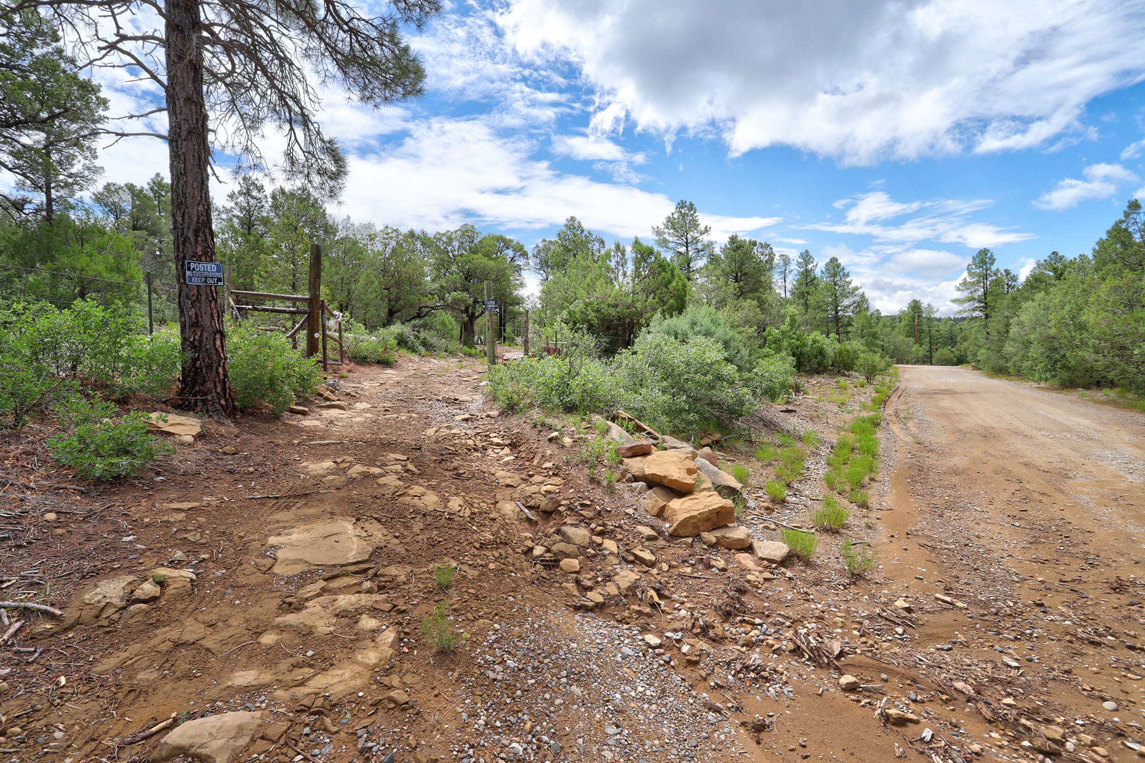 109 CAROLINO CANYON Road