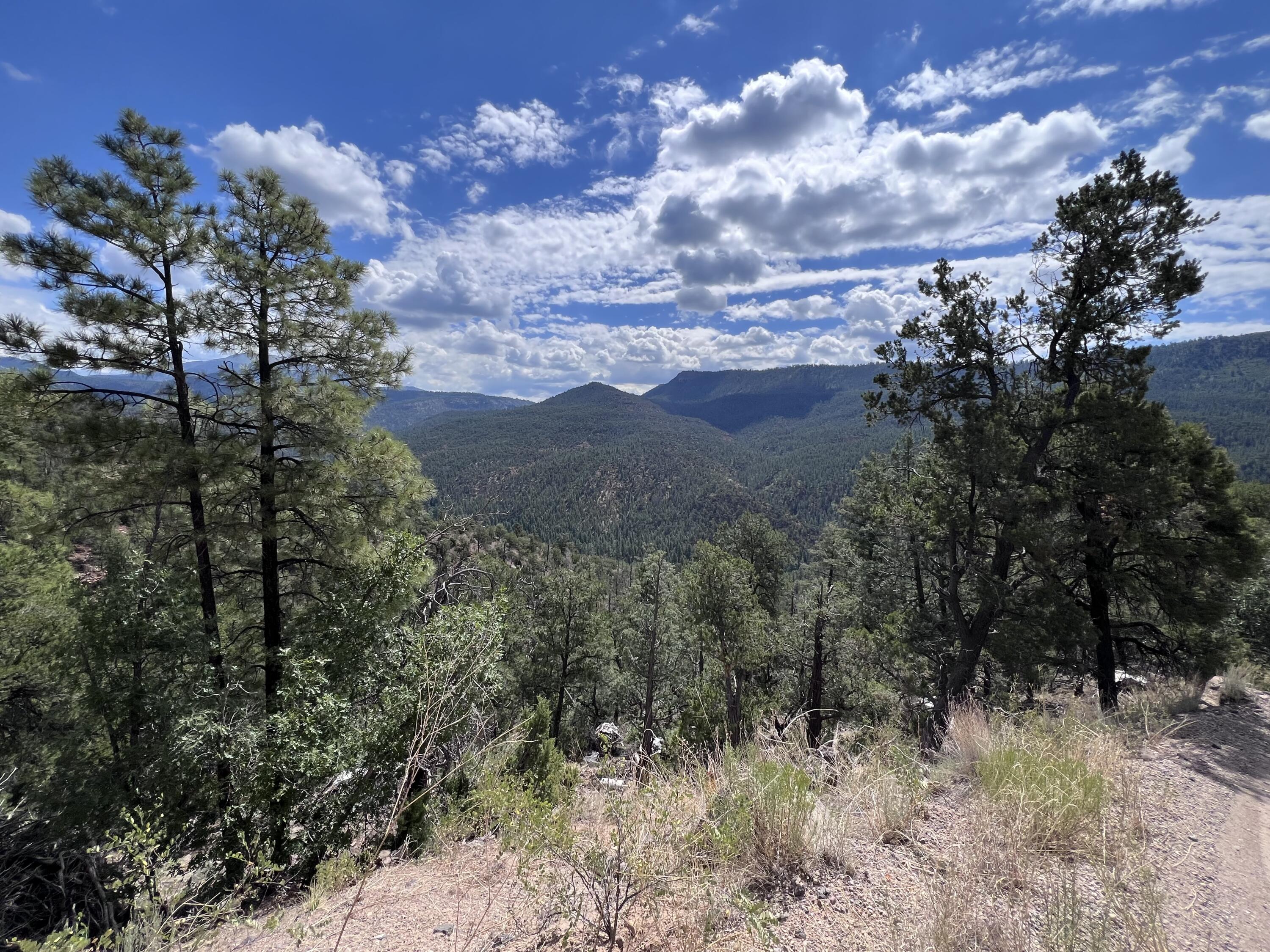 1691 PONDEROSA Drive