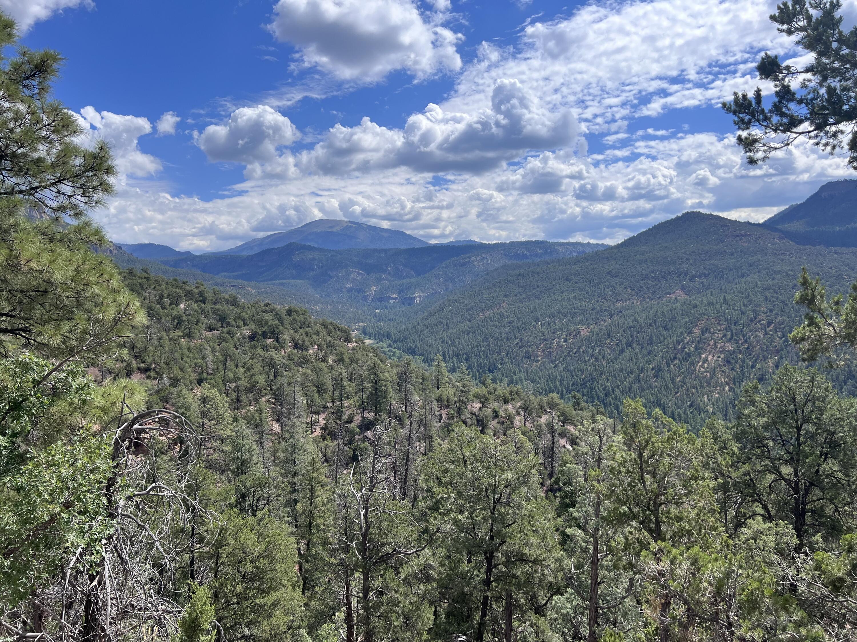 1691 PONDEROSA Drive