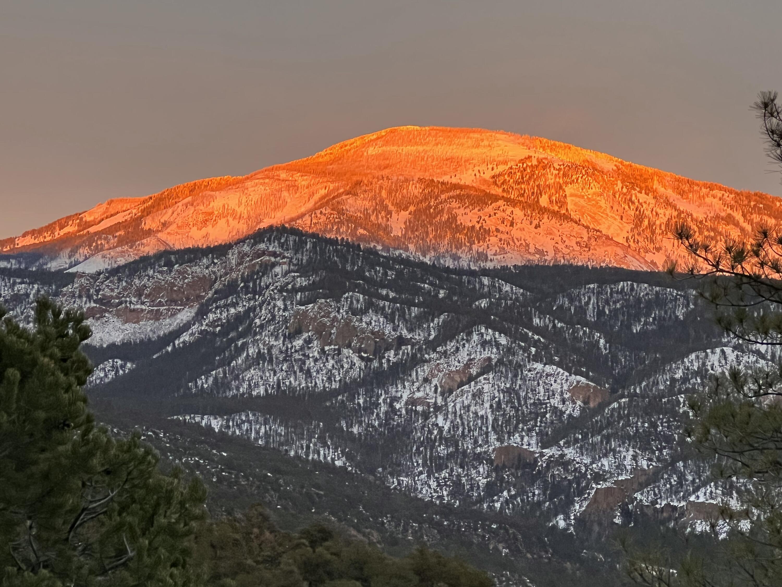 1691 PONDEROSA Drive