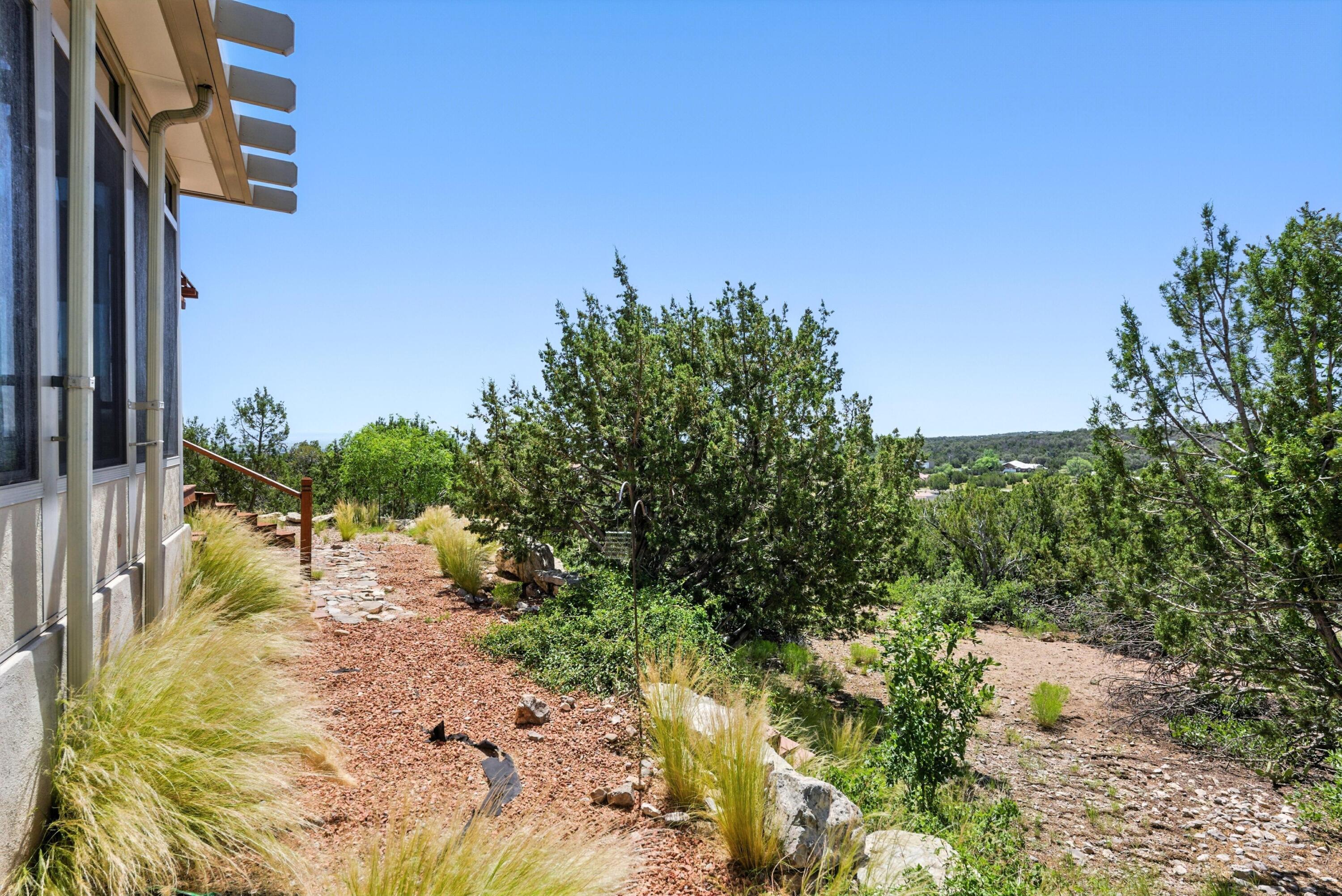 6 DELANTE Court