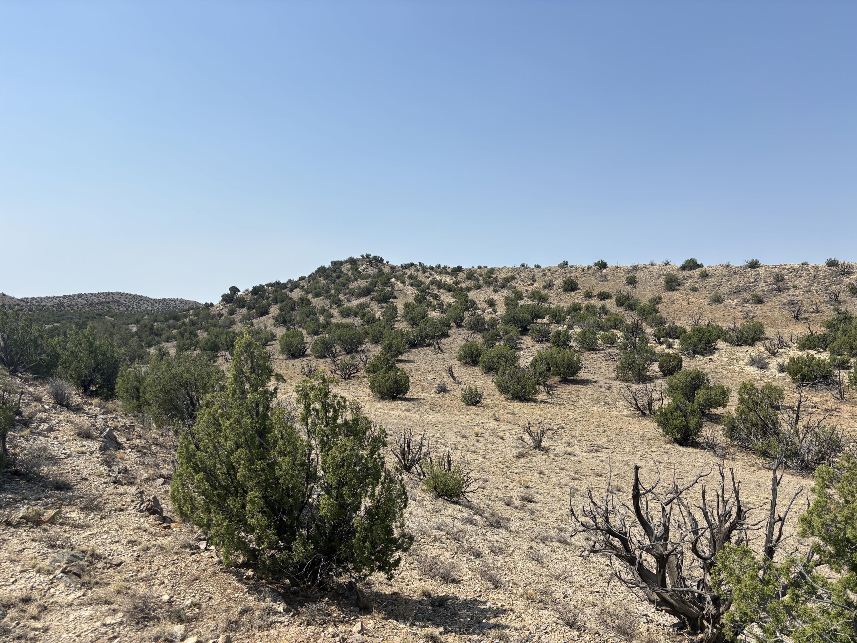 Lots 63&64 Abbe Springs Ranch