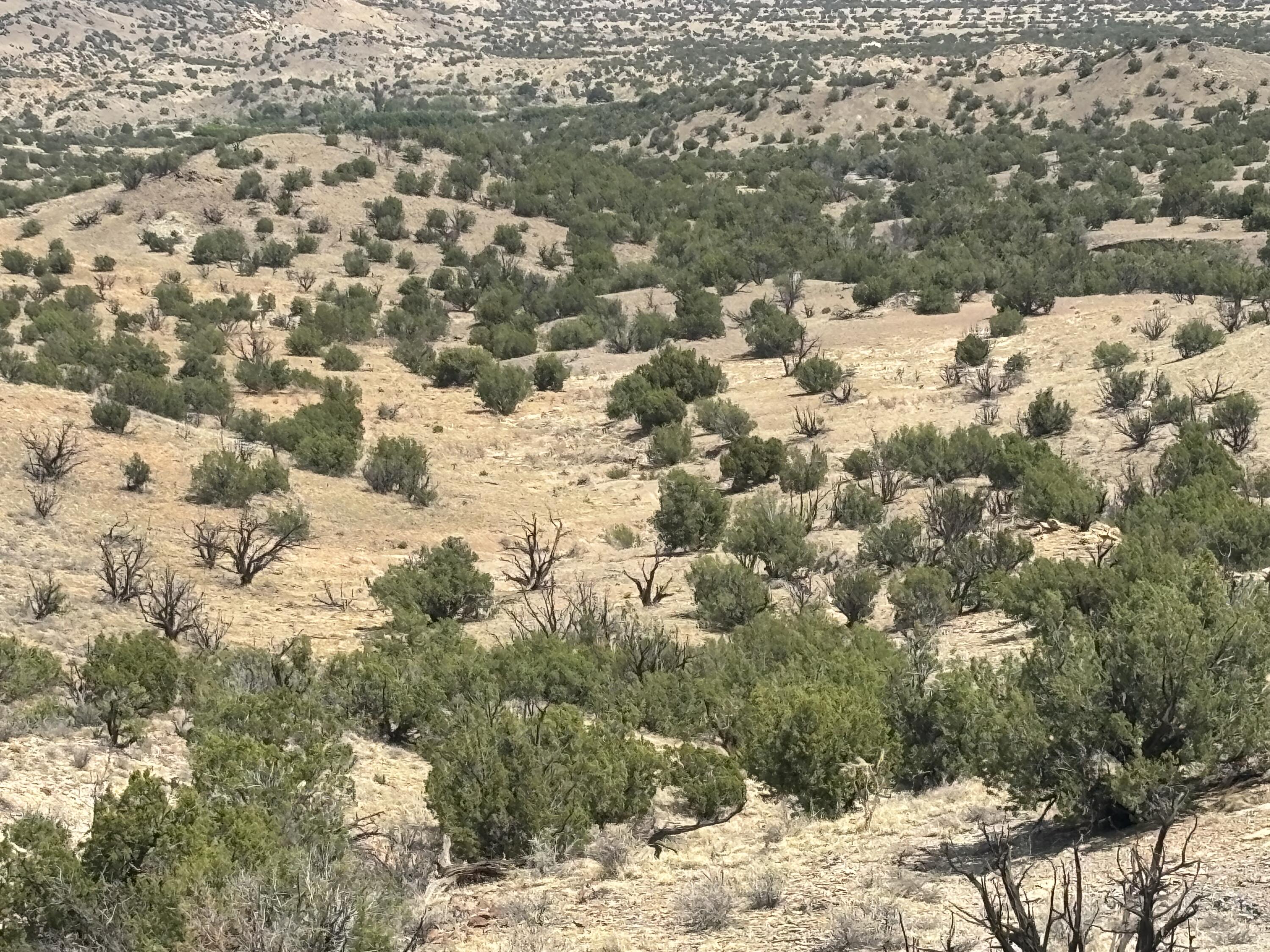 Lots 63&64 Abbe Springs Ranch