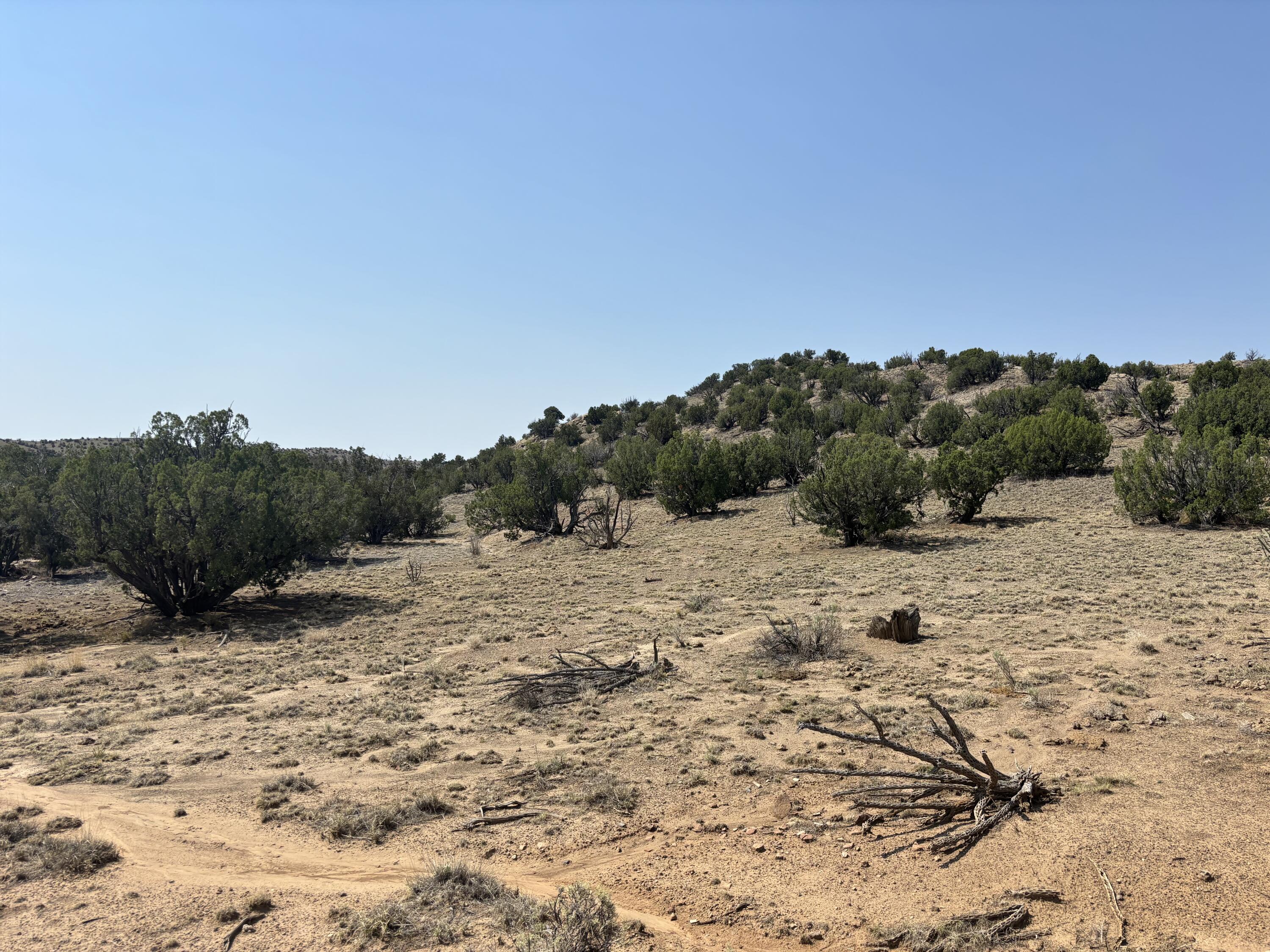Lots 63&64 Abbe Springs Ranch
