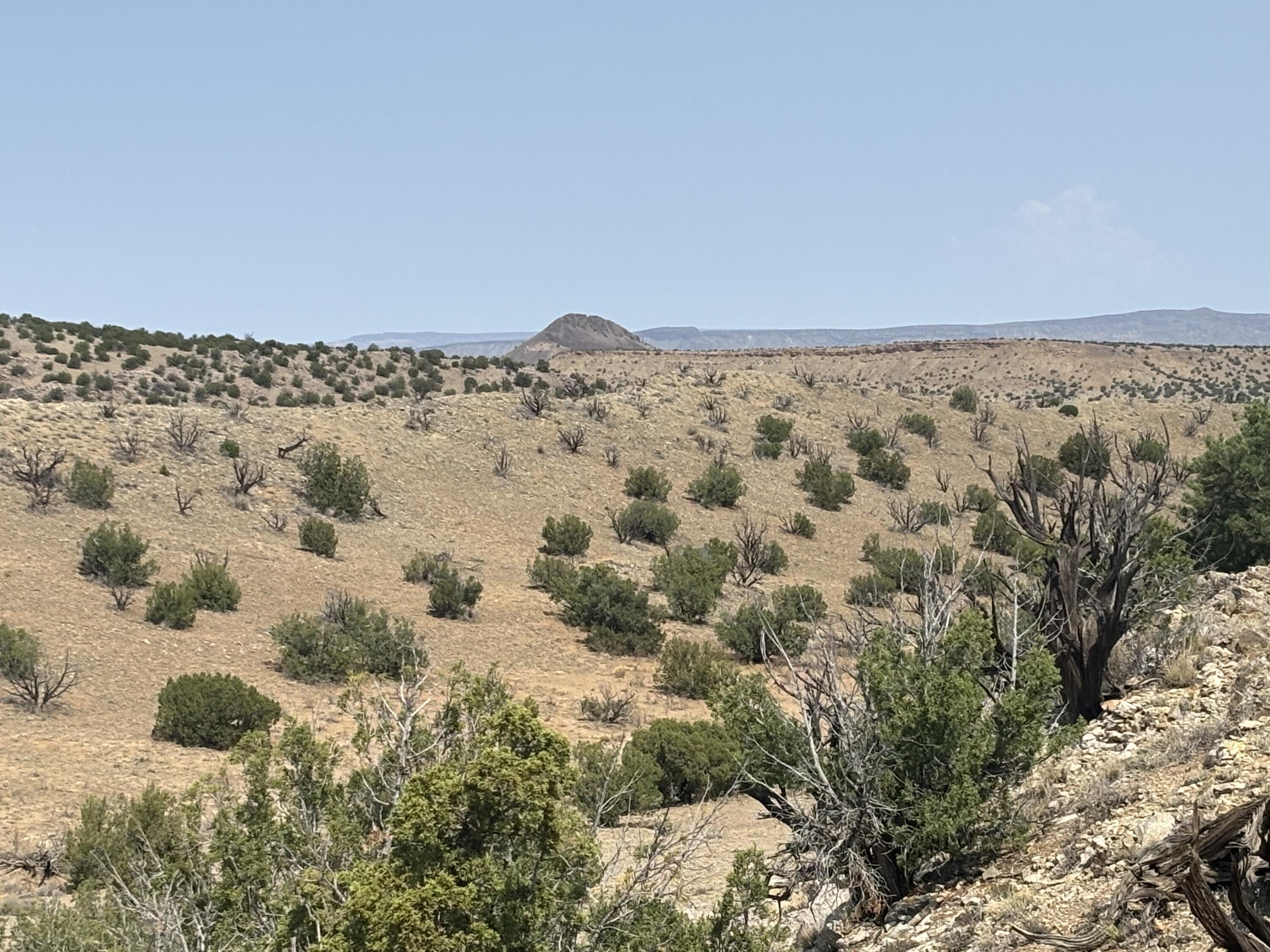 Lots 63&64 Abbe Springs Ranch