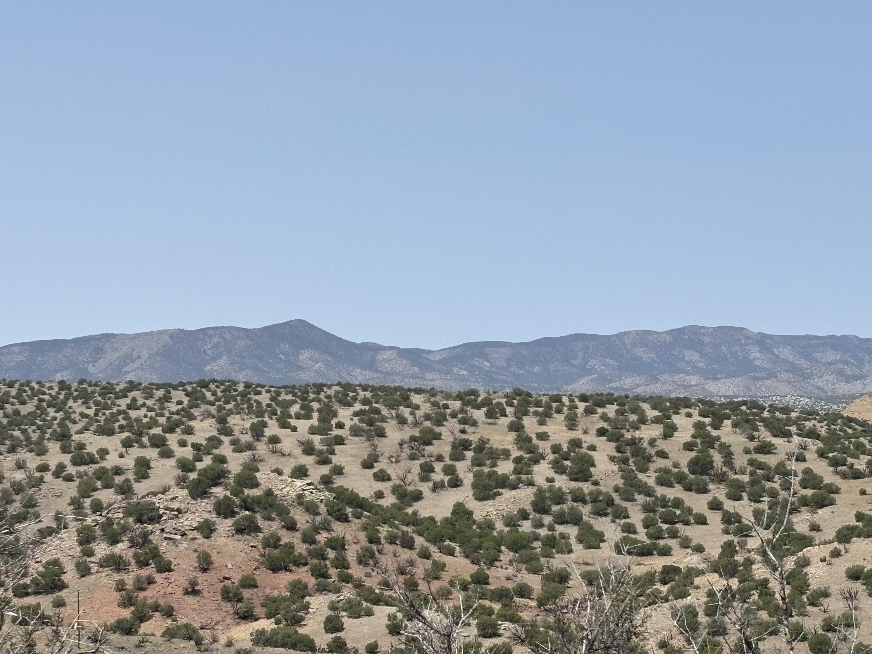 Lots 63&64 Abbe Springs Ranch