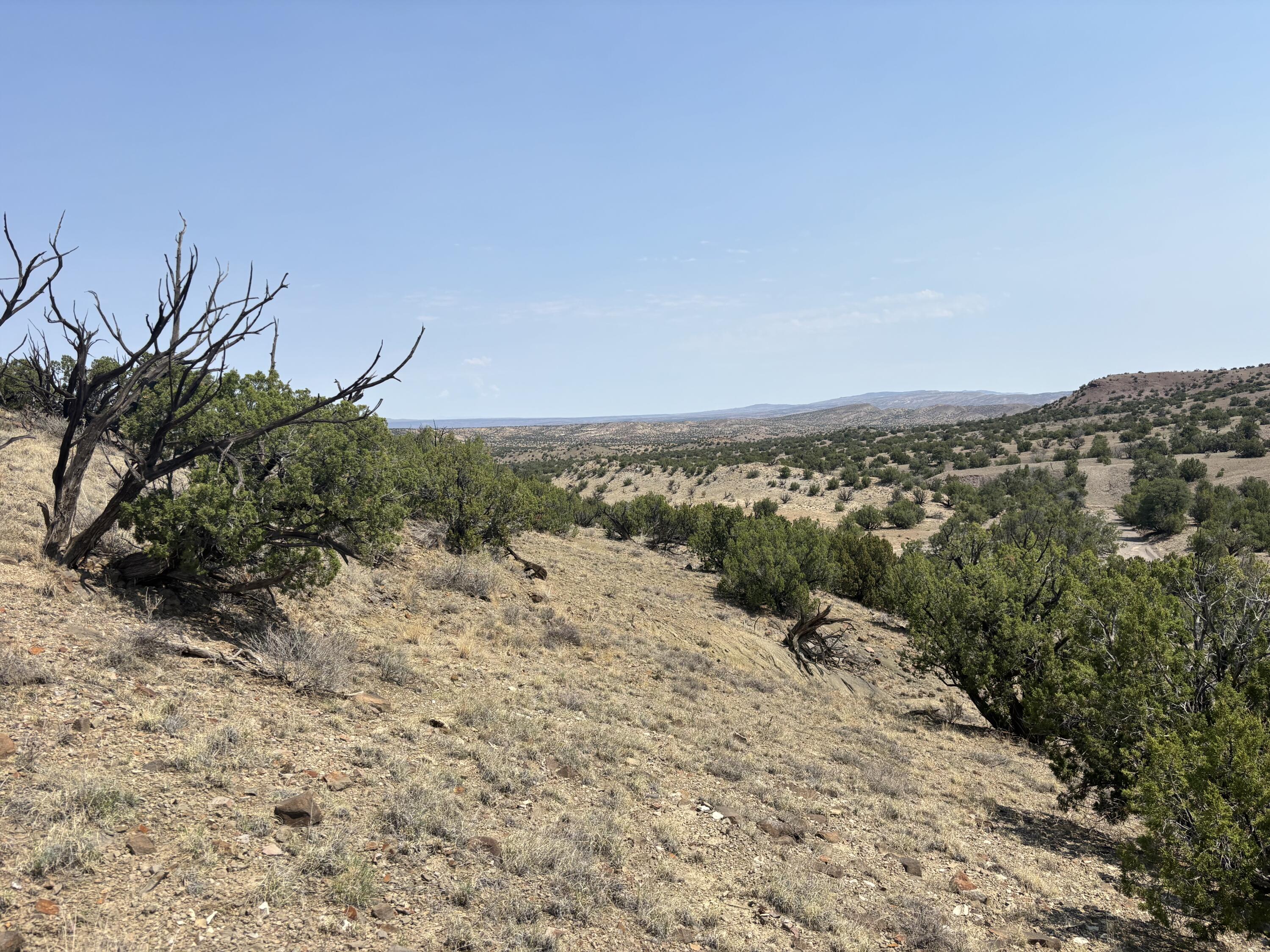 Lots 63&64 Abbe Springs Ranch