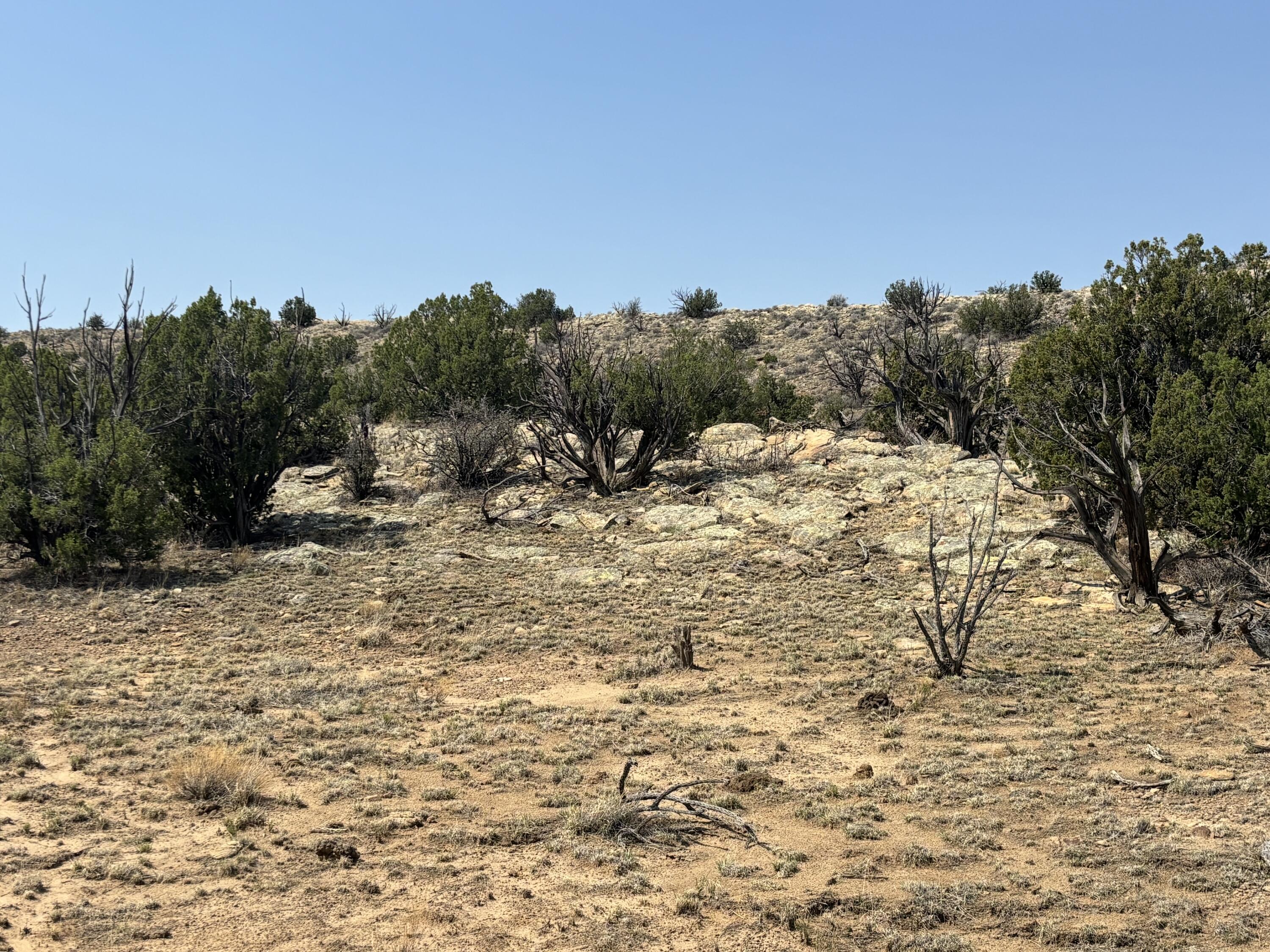 Lots 63&64 Abbe Springs Ranch