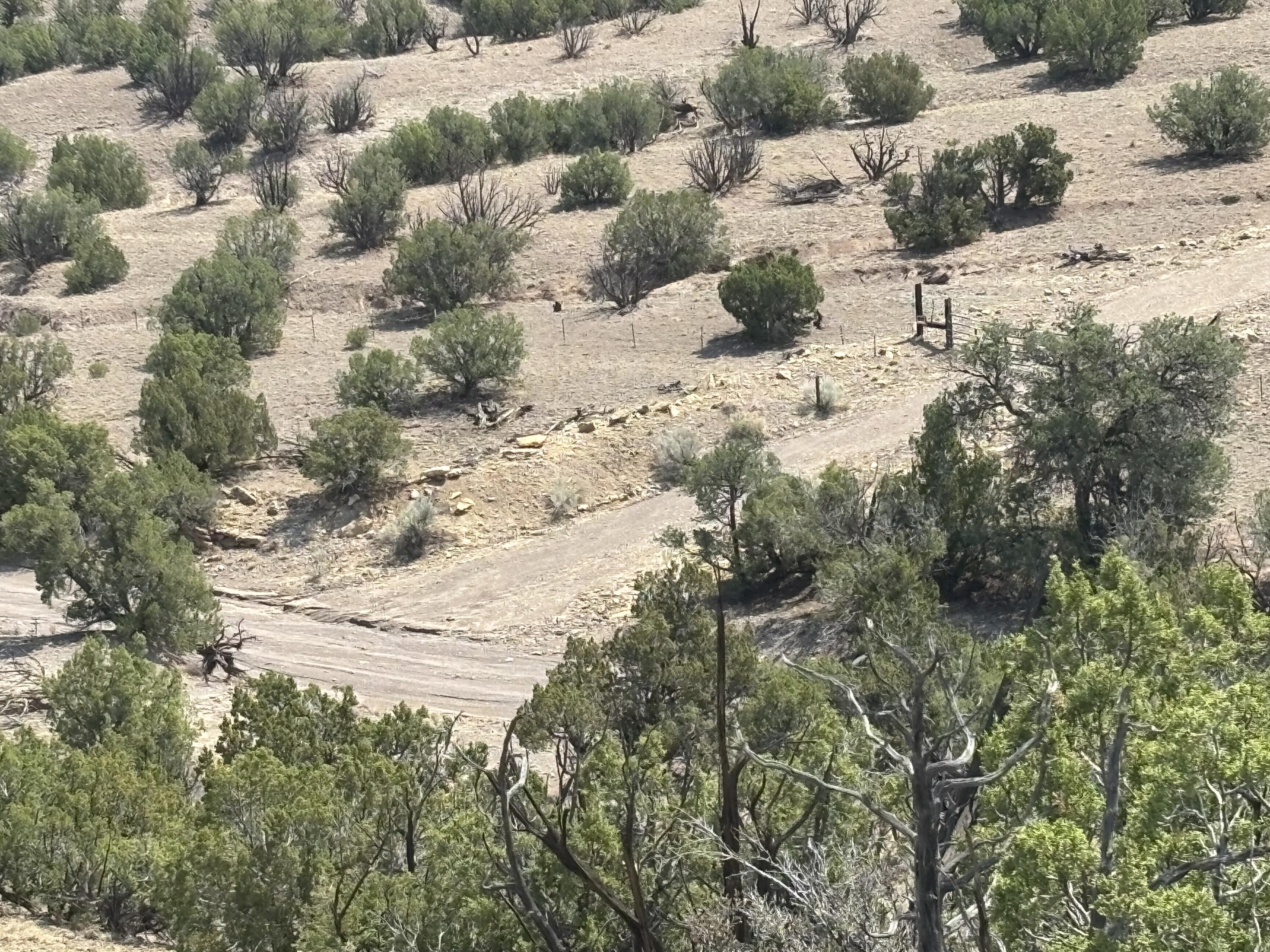 Lots 63&64 Abbe Springs Ranch