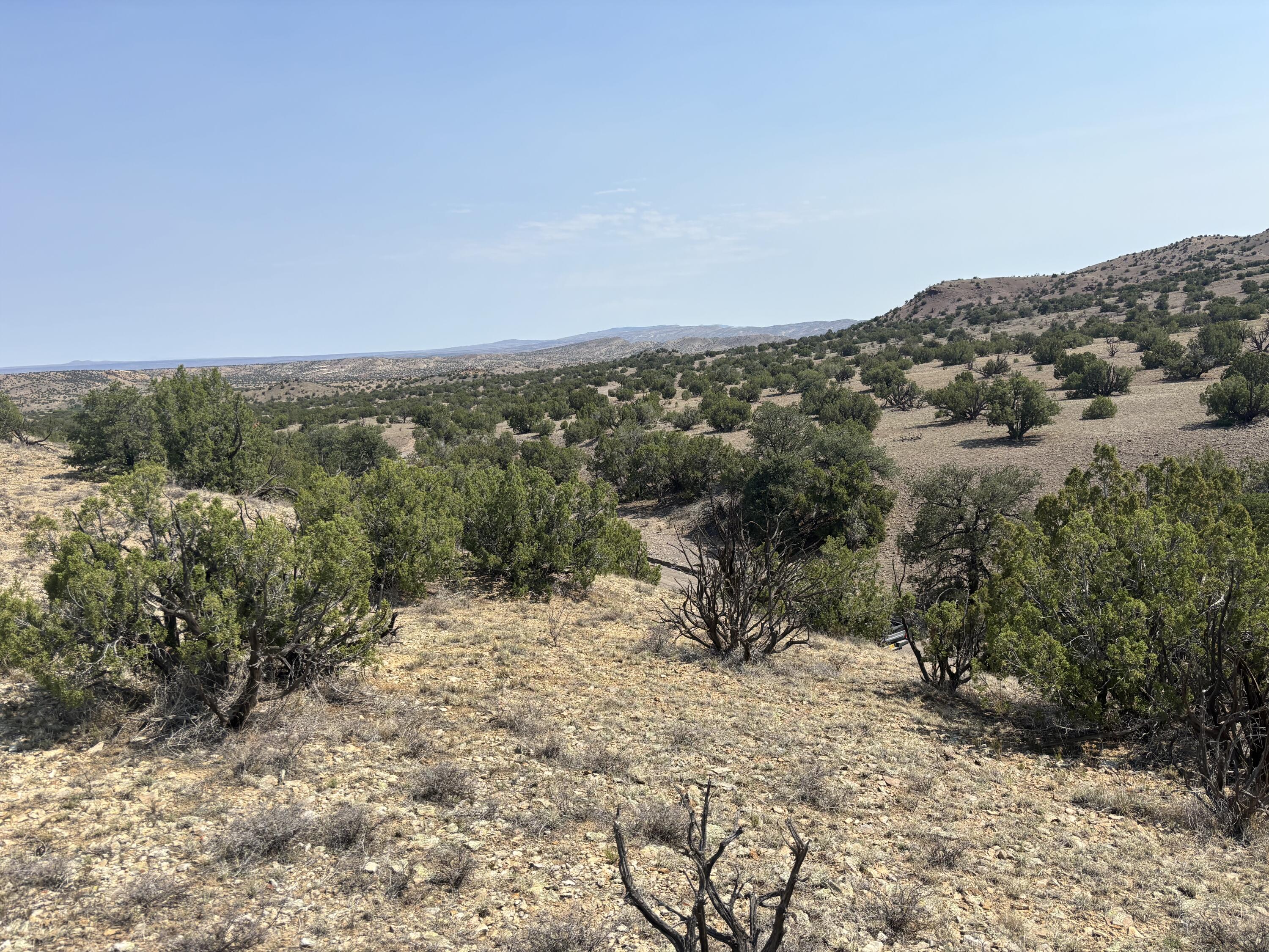 Lots 63&64 Abbe Springs Ranch