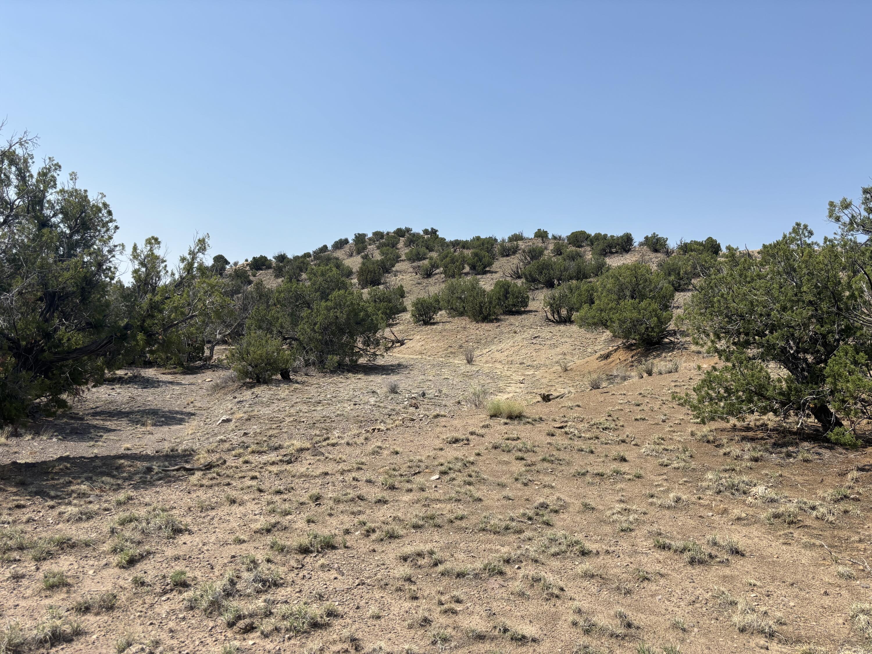 Lots 63&64 Abbe Springs Ranch