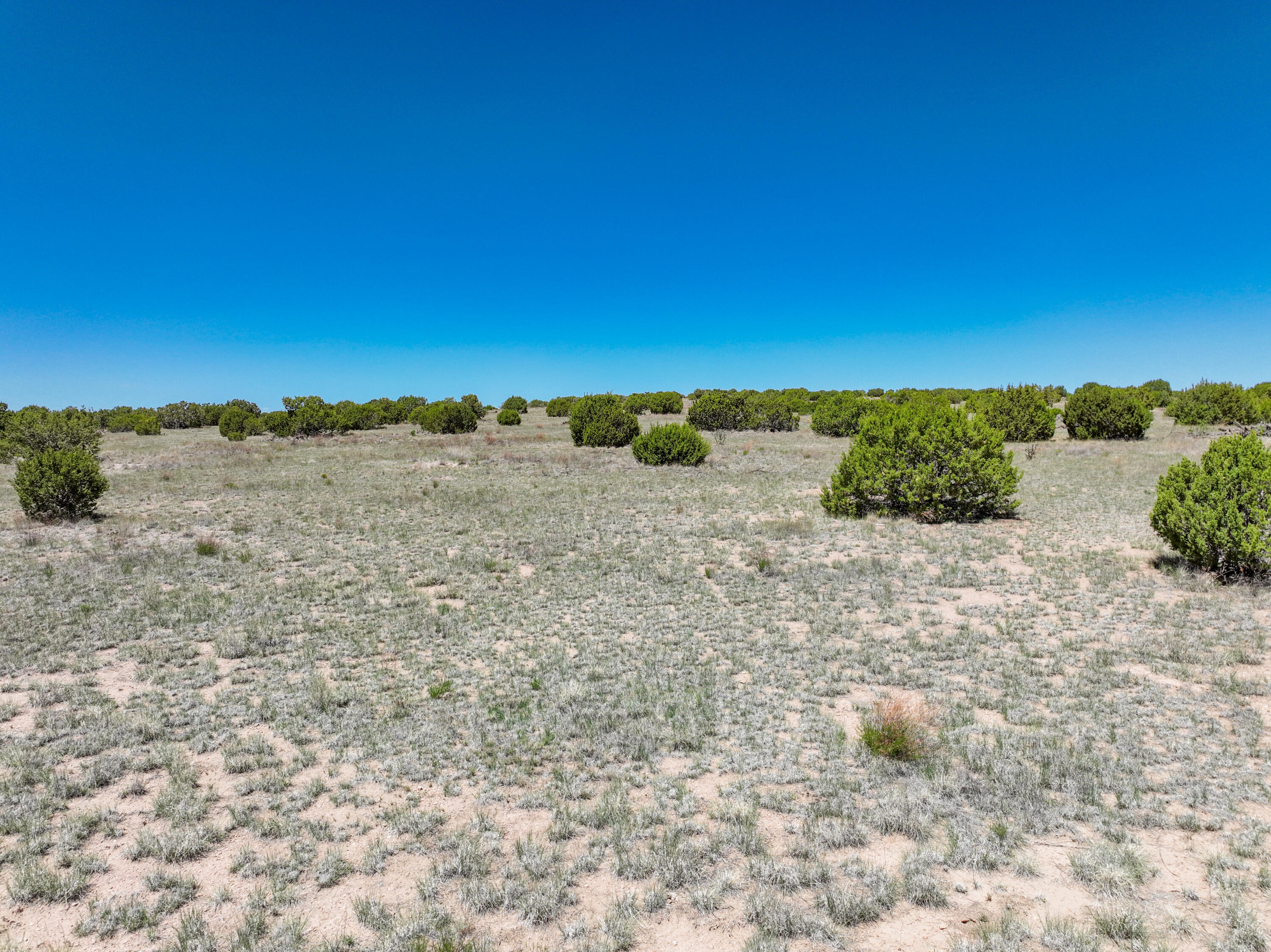 Lot 189 Pinon Springs Ranches