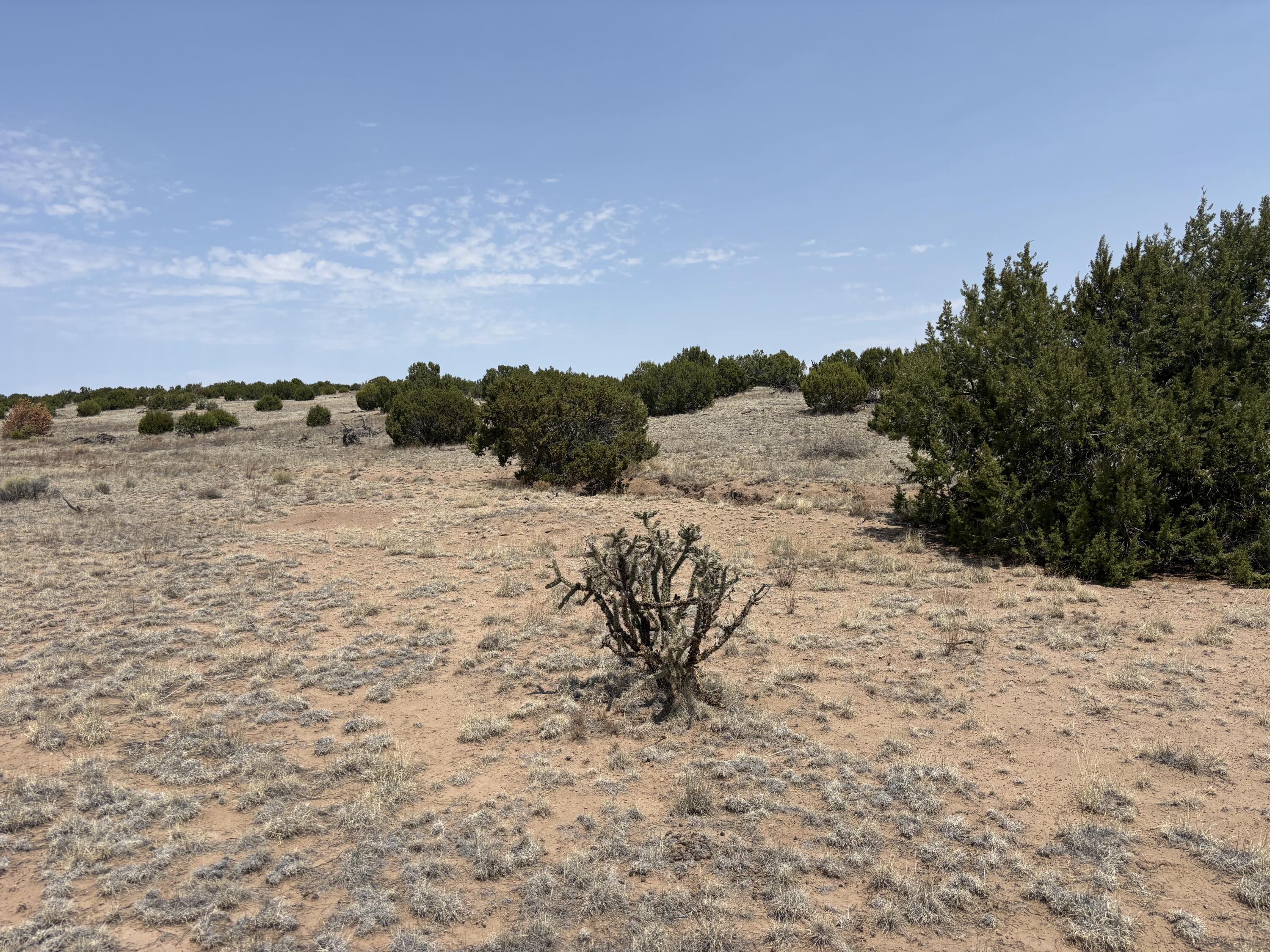 Lot 189 Pinon Springs Ranches