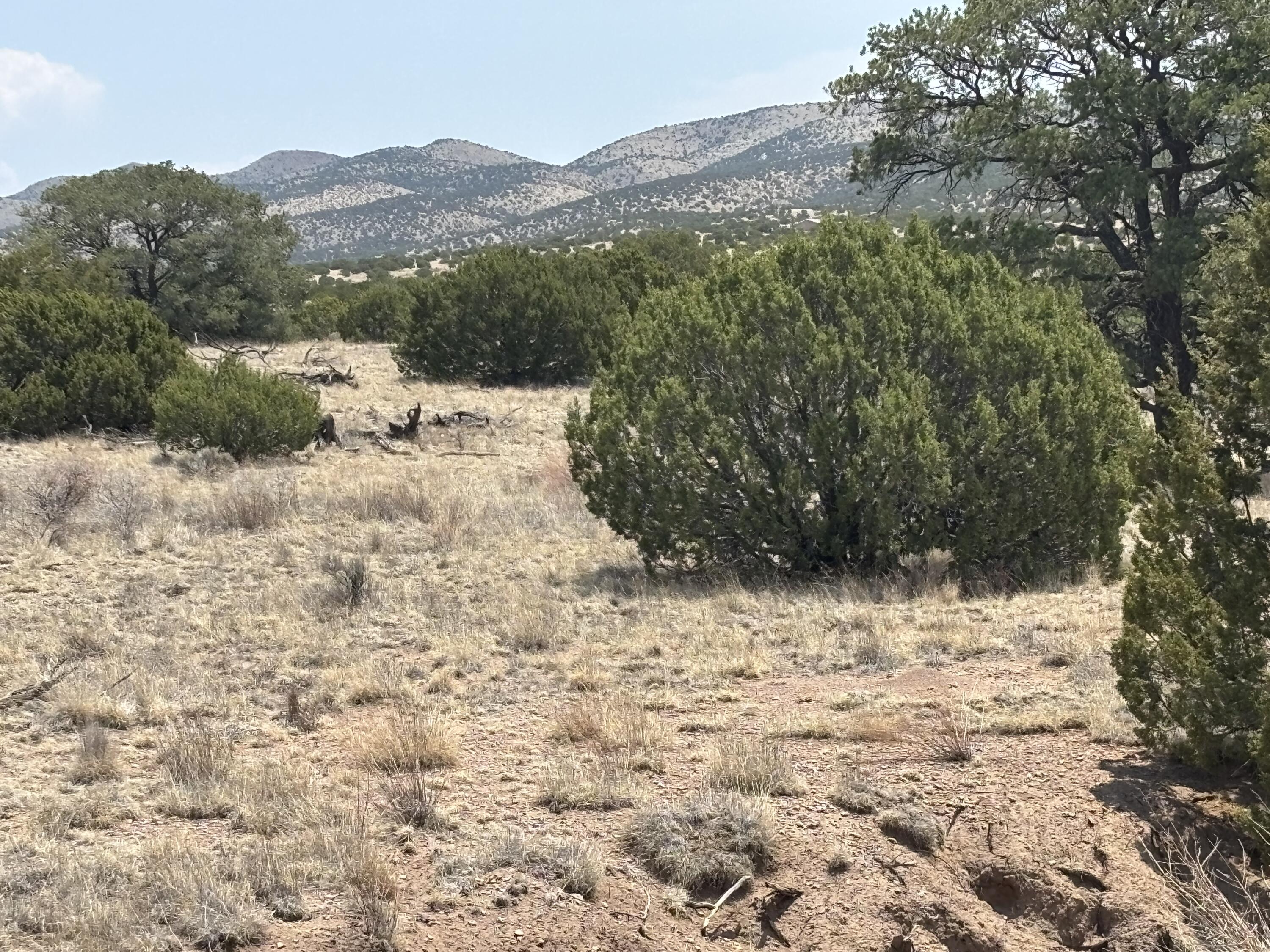 Lot 189 Pinon Springs Ranches