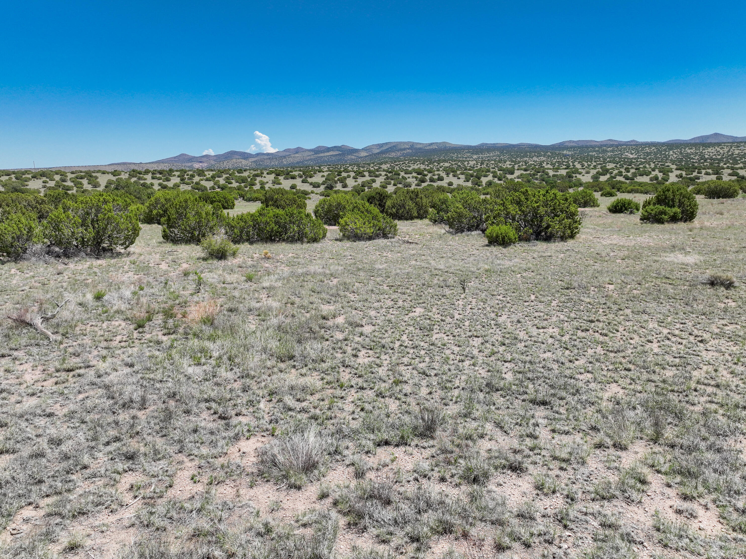 Lot 189 Pinon Springs Ranches