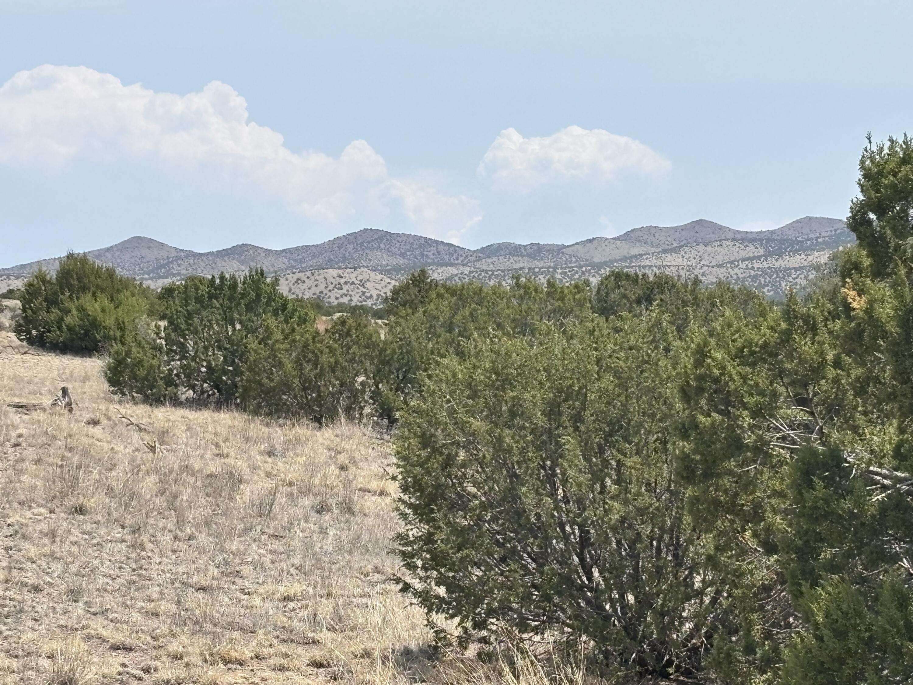 Lot 189 Pinon Springs Ranches