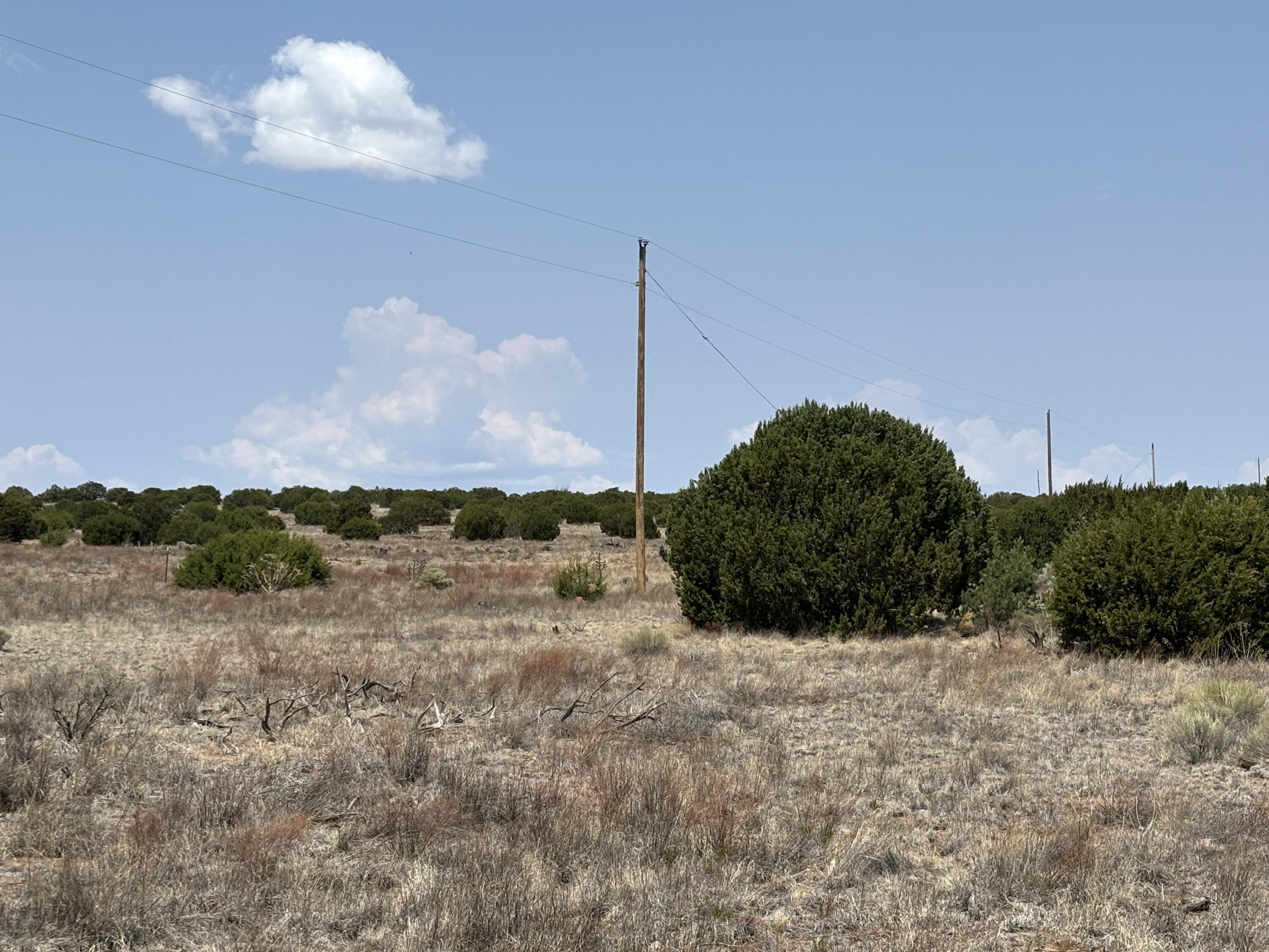 Lot 189 Pinon Springs Ranches