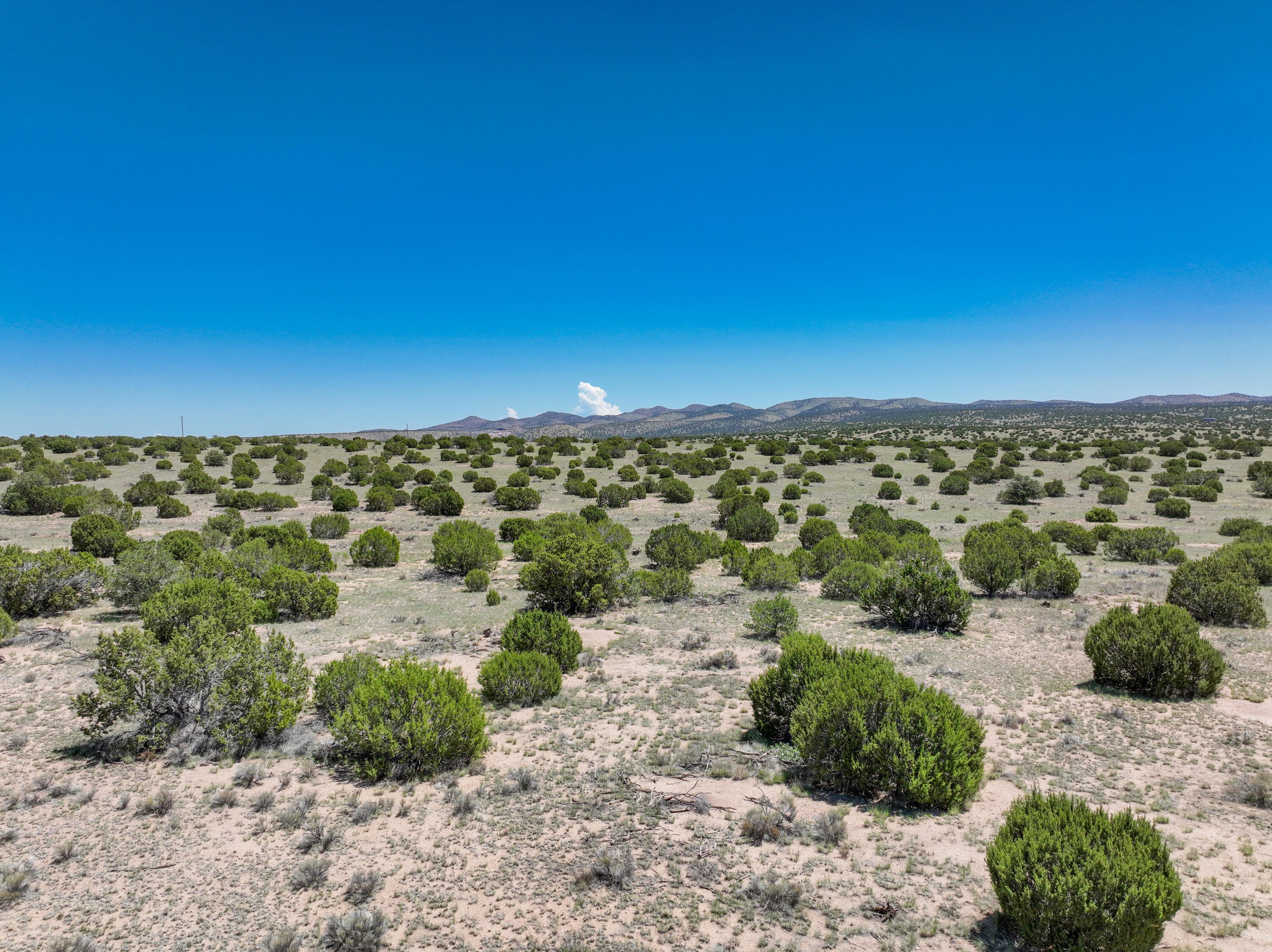 Lot 189 Pinon Springs Ranches