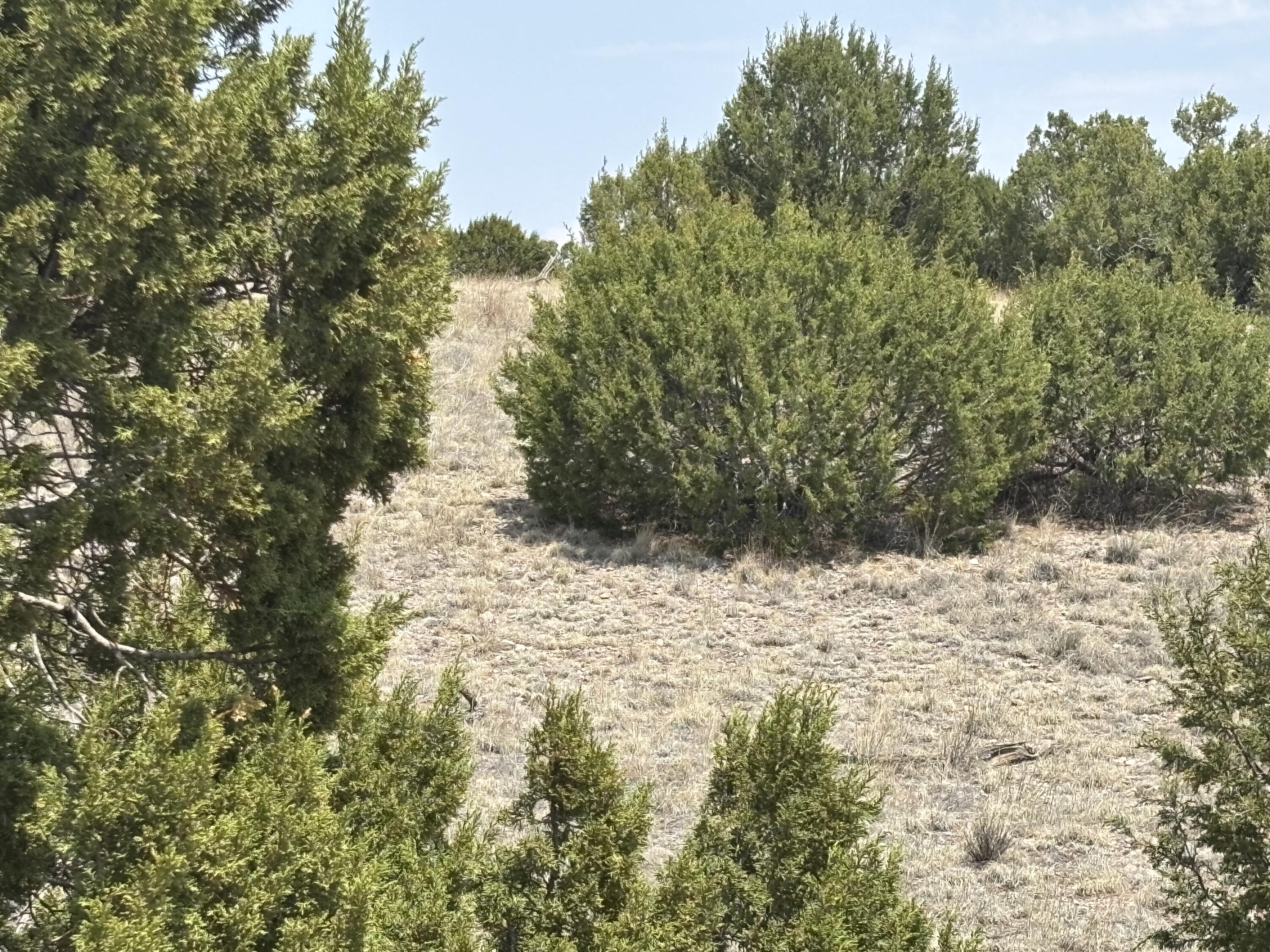 Lot 189 Pinon Springs Ranches