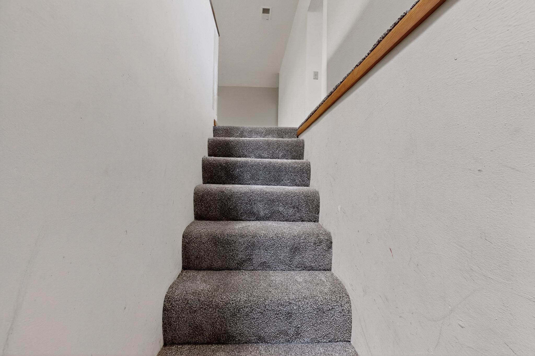 61 EAST Trail