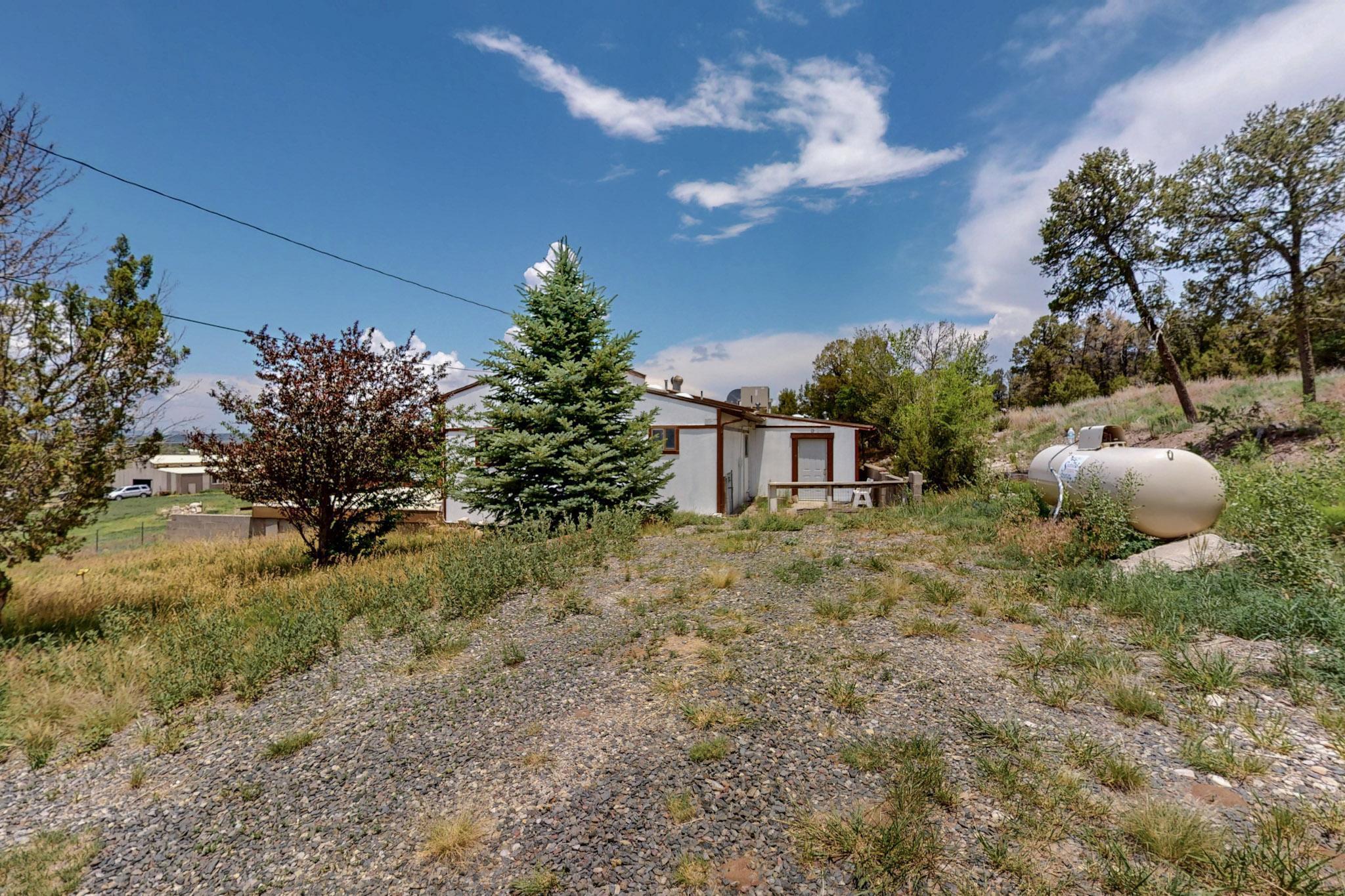 61 EAST Trail