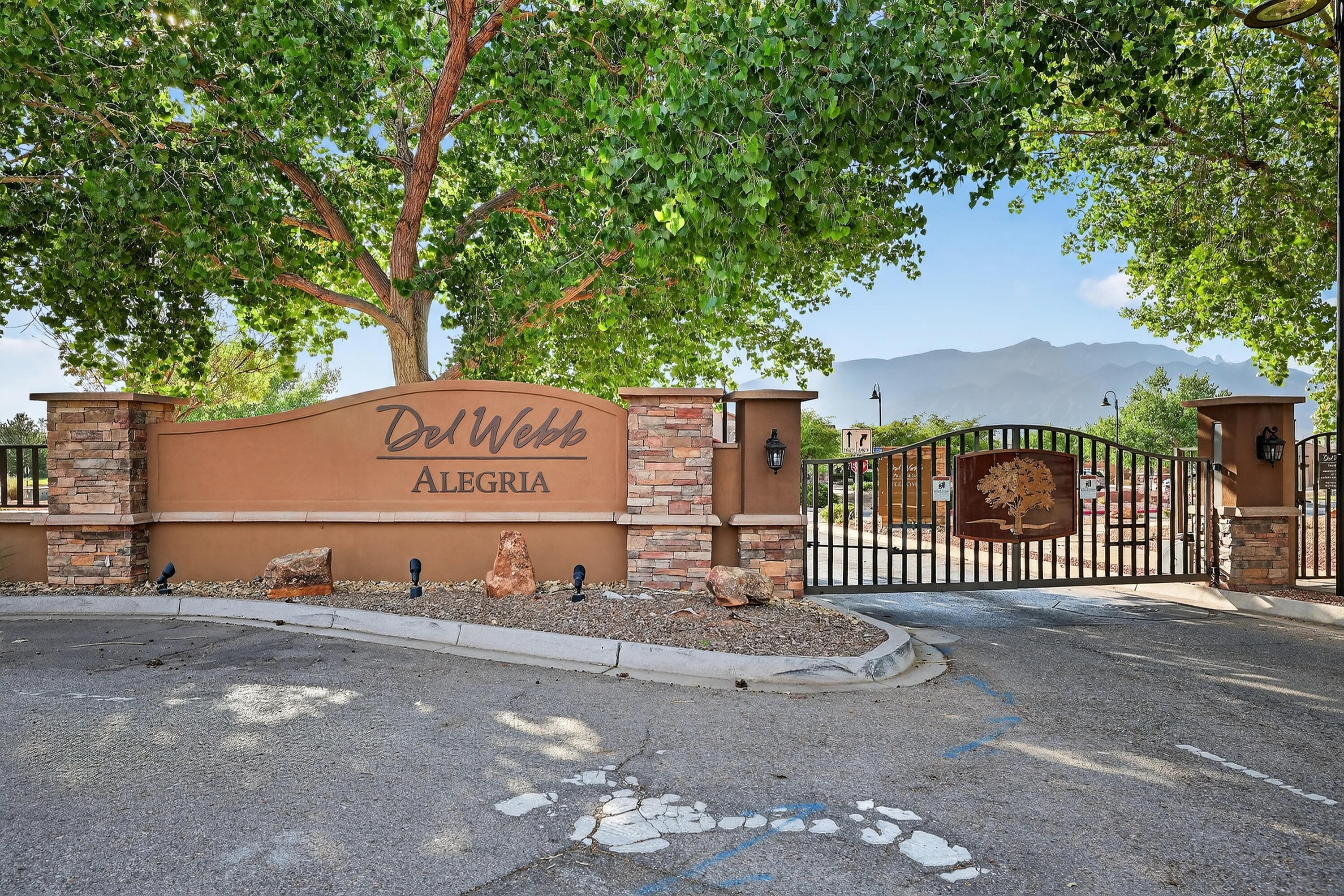 939 Desert Willow Court