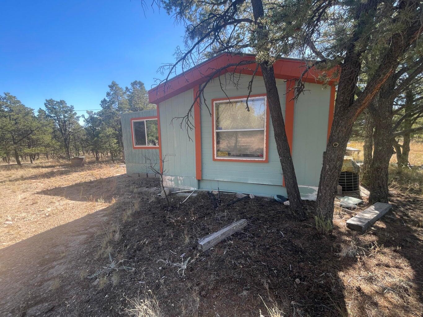 111 HOMESTEAD Trail