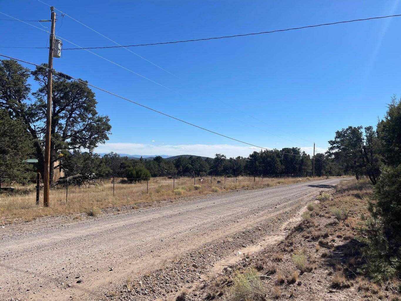 111 HOMESTEAD Trail