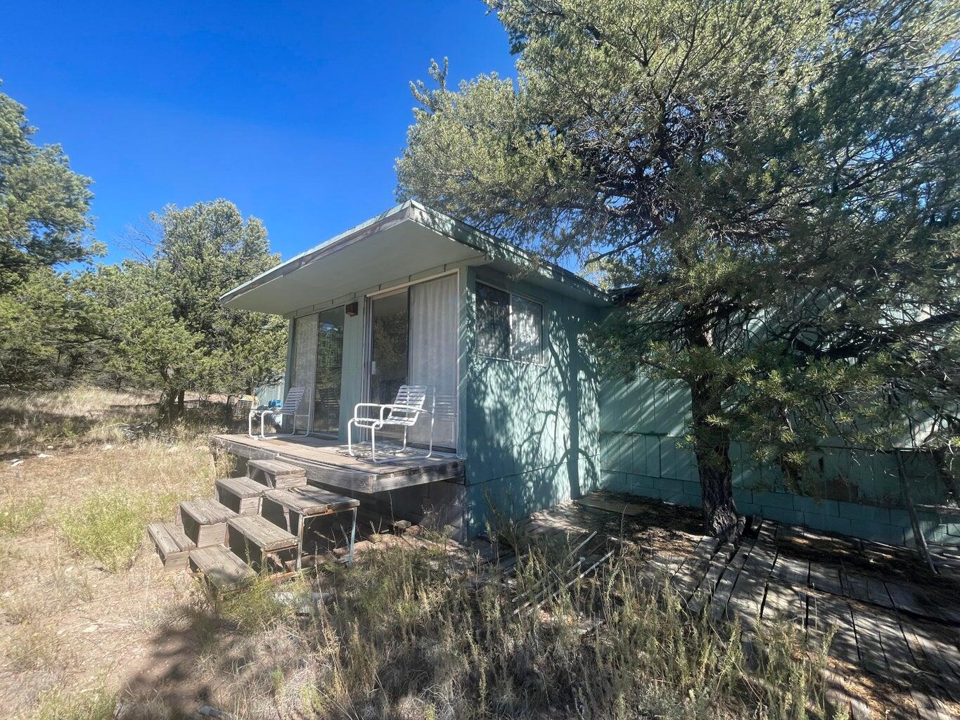 111 HOMESTEAD Trail
