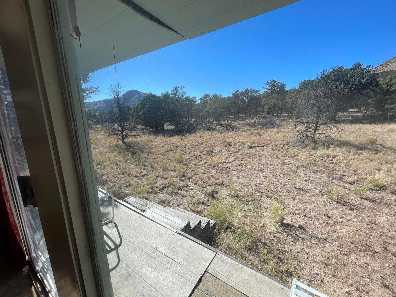 111 HOMESTEAD Trail