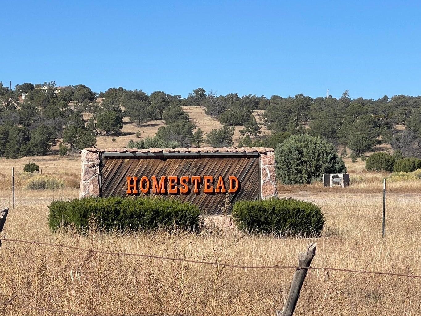 111 HOMESTEAD Trail