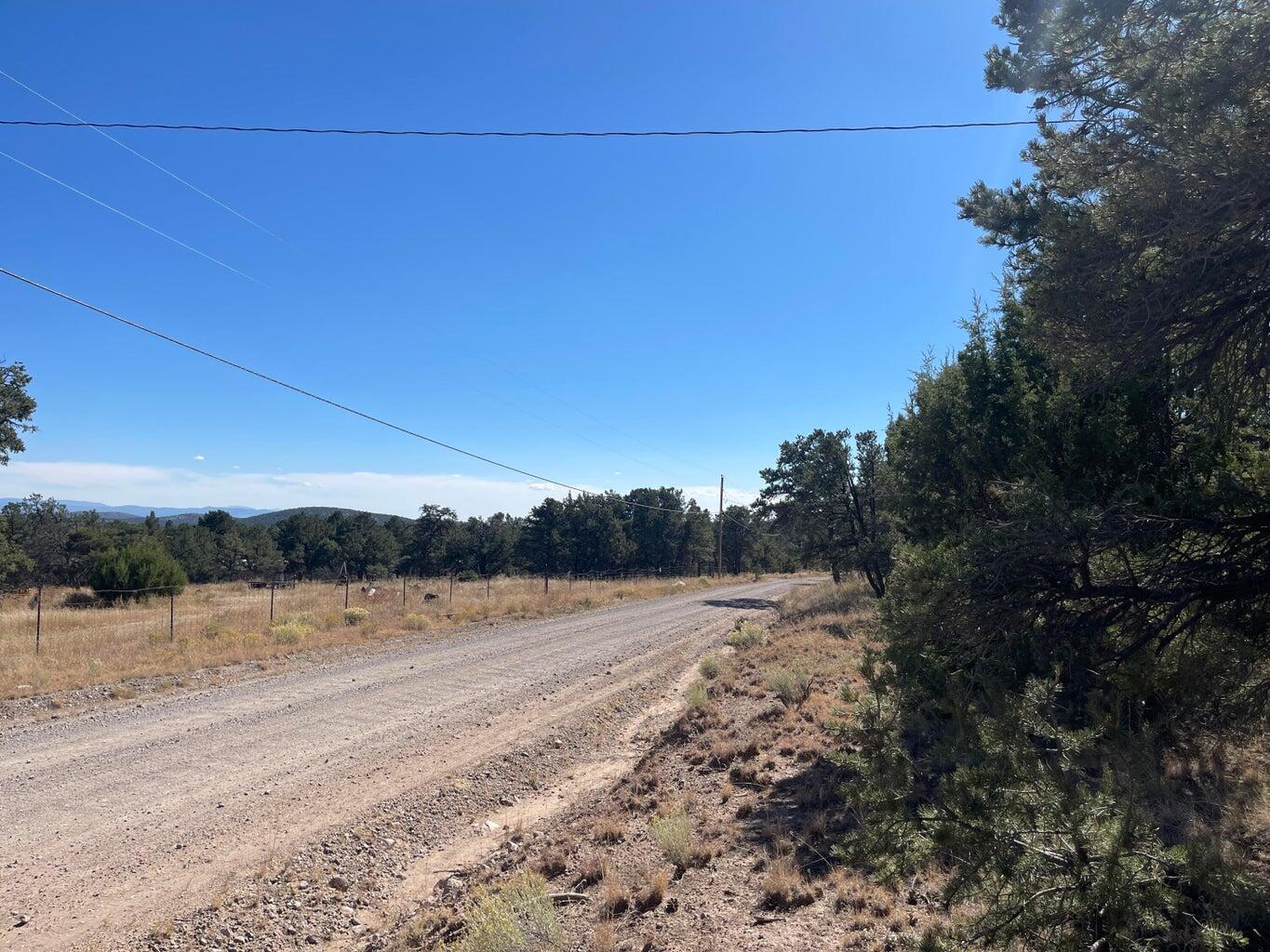 111 HOMESTEAD Trail