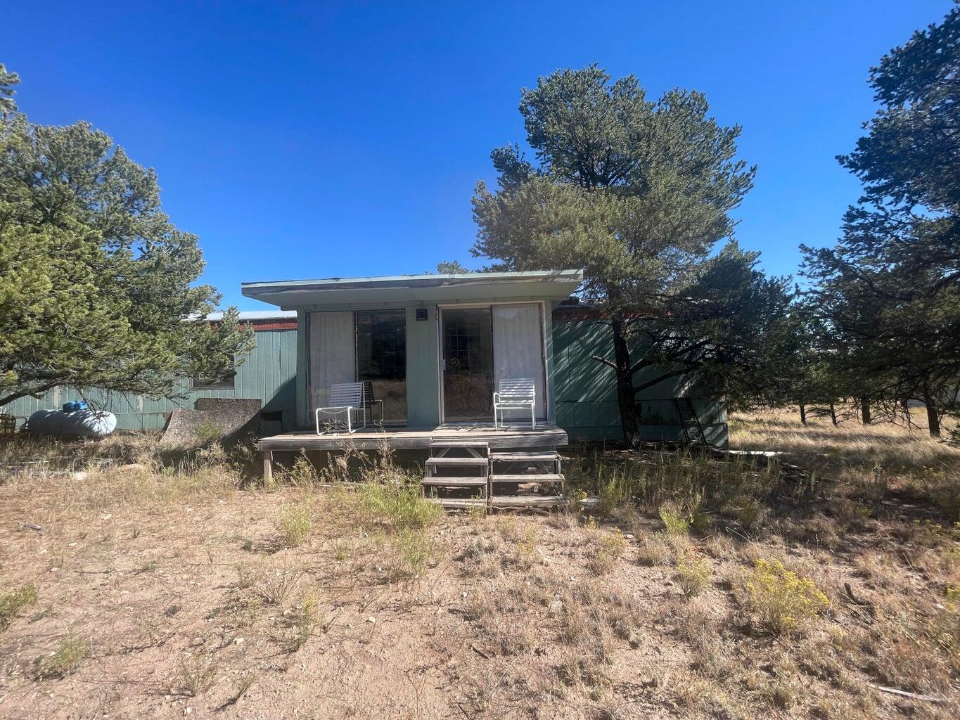 111 HOMESTEAD Trail