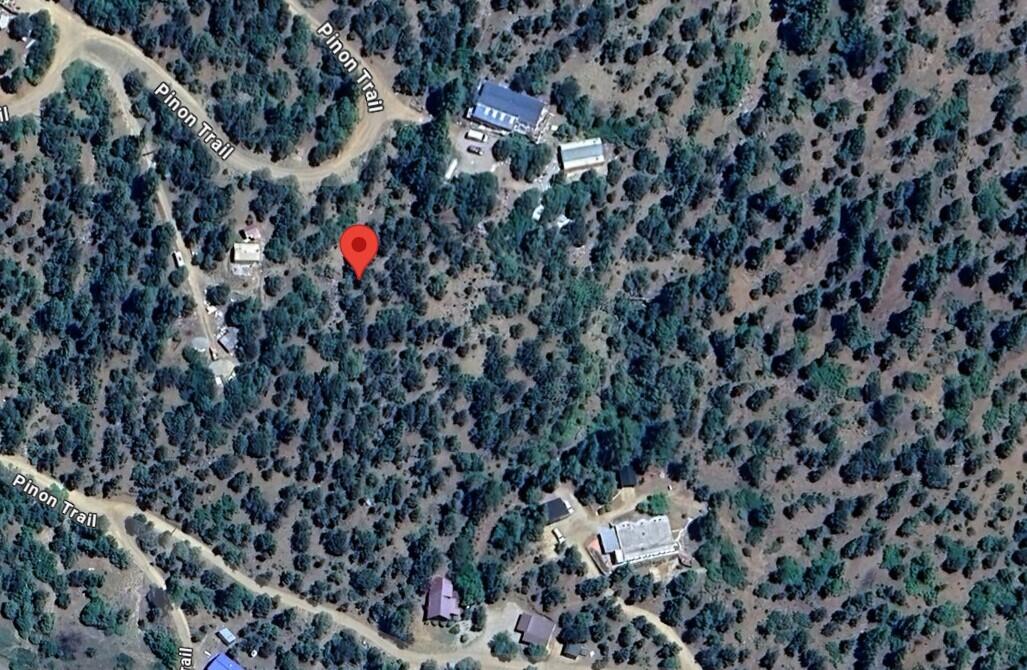 Pinon Trail