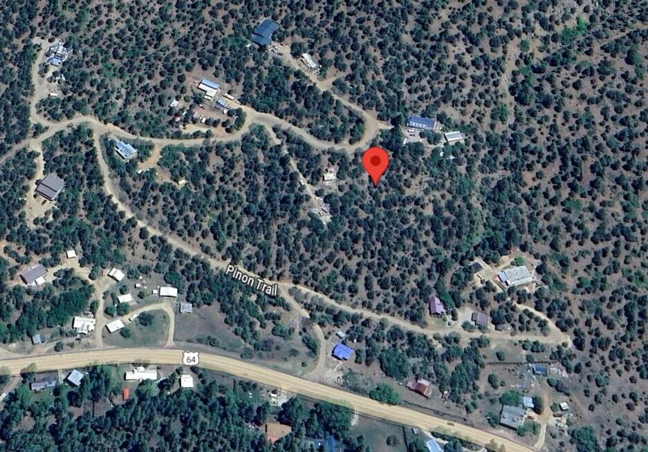 Pinon Trail