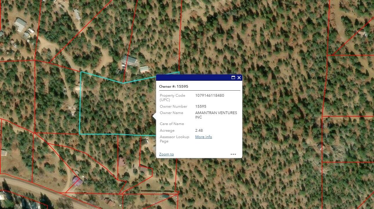 Pinon Trail