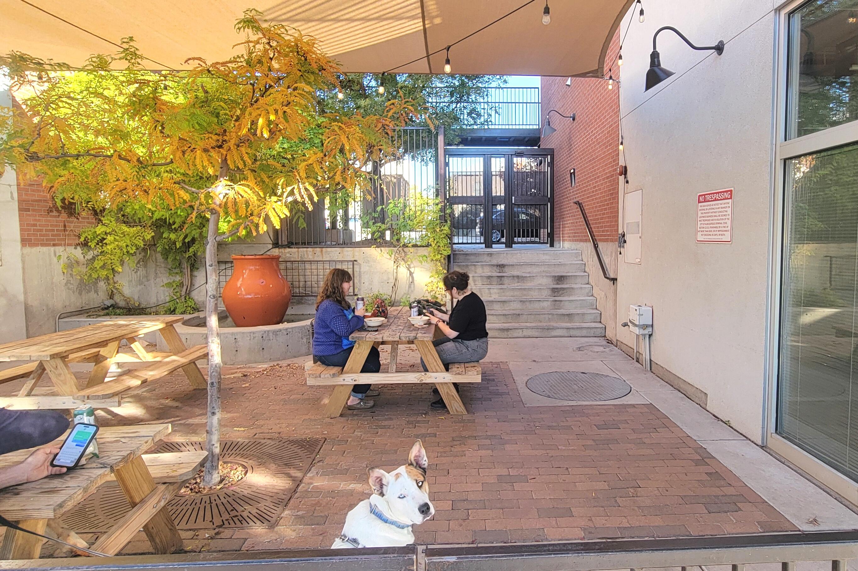 308 Bel Vedere Lane NE