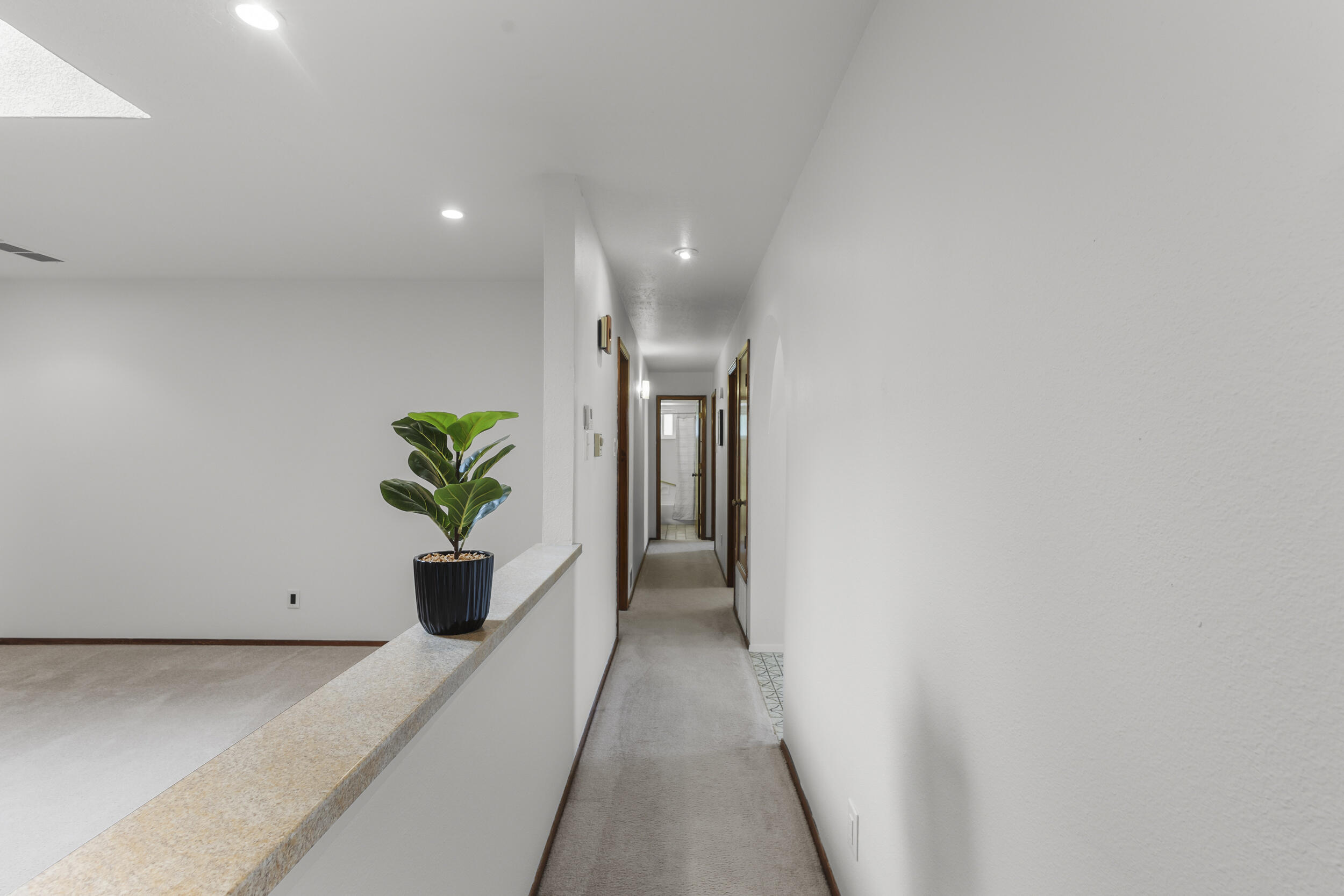 1617 BOROS Court