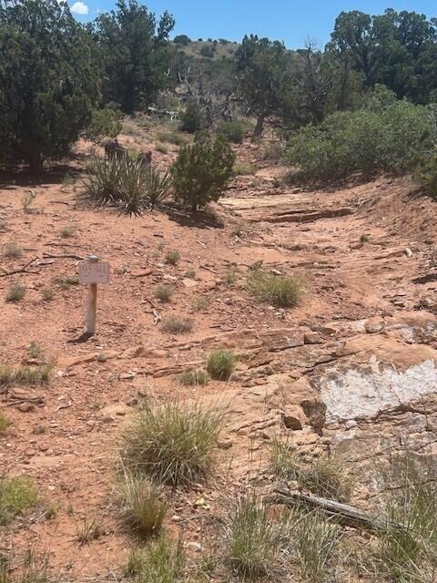 250 Moonlight Ridge Road