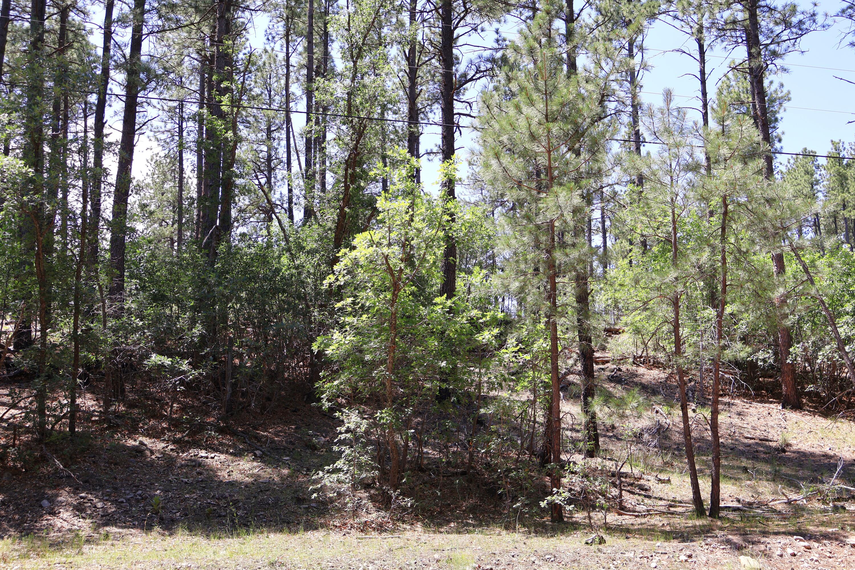 Lot 5 Sherwood Forest