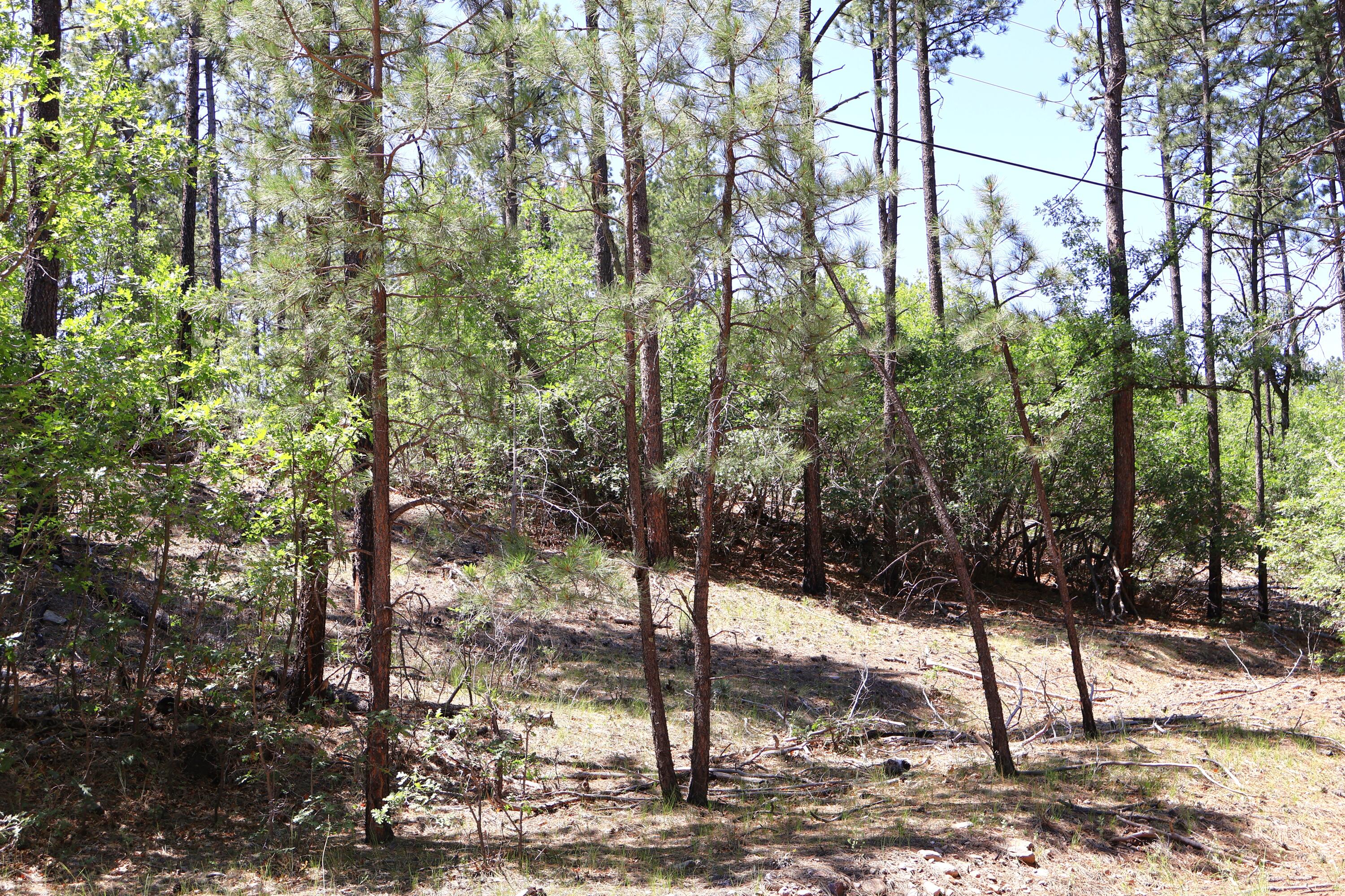 Lot 5 Sherwood Forest