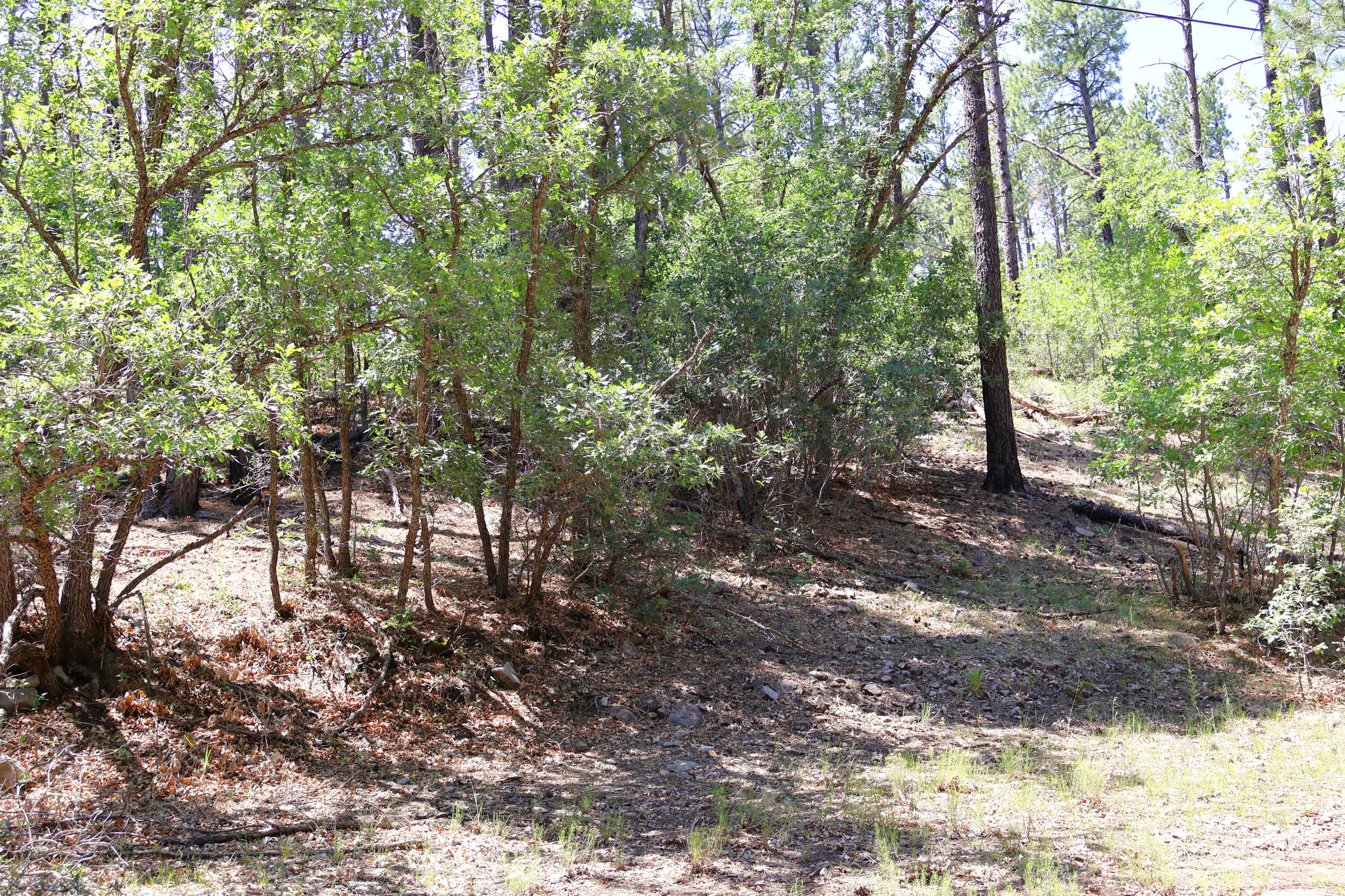 Lot 5 Sherwood Forest