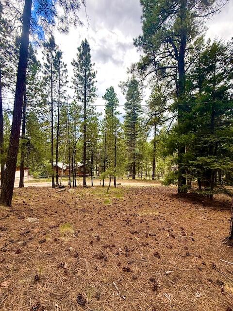 71 PONDEROSA Way